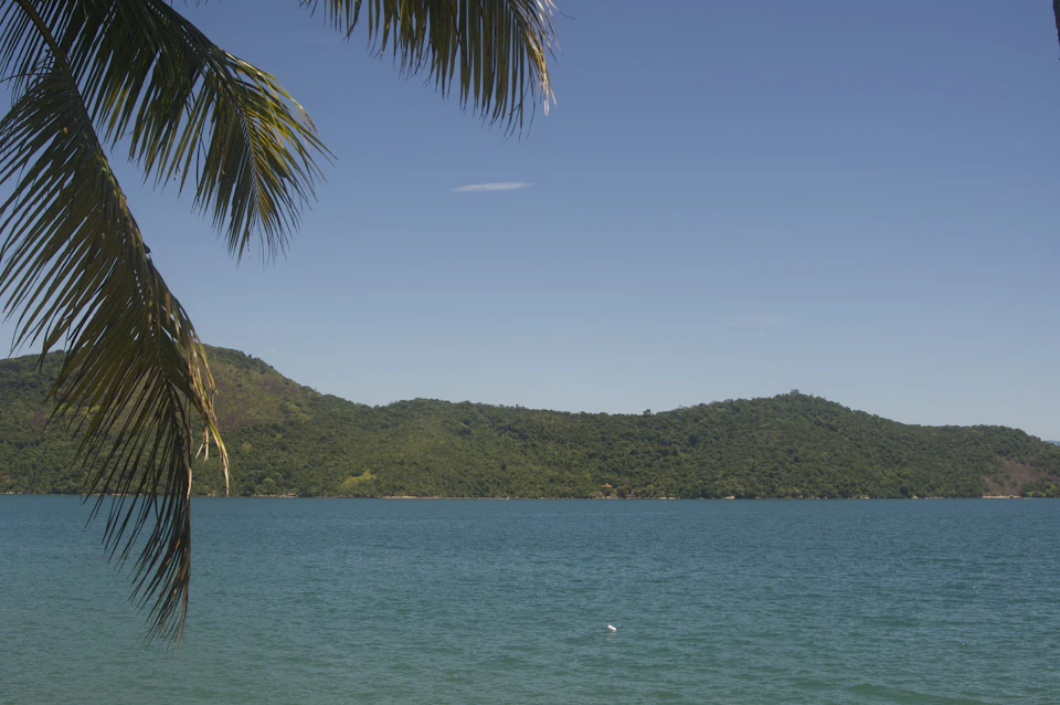 The image depicts a serene tropical beach scene with a clear blue sky and calm turquoise water. The perspective is from the shore, looking out towards the horizon where lush green trees line the coastline. A palm tree stands tall on the left side of the frame, its fronds swaying gently in the breeze.

The colors in the image are predominantly blue and green, reflecting the natural beauty of the tropical landscape. The sky is a bright blue with wispy clouds scattered across it, adding depth to the scene. The water is a vibrant turquoise color that contrasts beautifully with the clear sky above.
