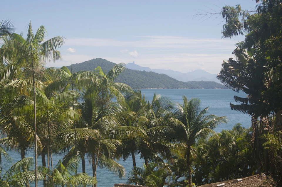Serene tropical landscape with palm trees swaying in calm waters under clear blue sky