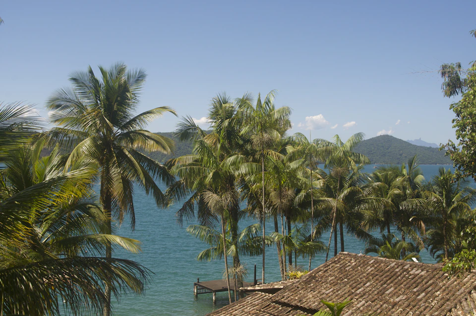 The image depicts a serene tropical beach scene with a clear blue sky and turquoise water. The beach is lined with palm trees, their green leaves swaying gently in the breeze. In the foreground, there are several houses nestled among the palm trees, adding to the tropical ambiance of the location.

The perspective of the image is from an elevated viewpoint, providing a panoramic view of the beach and its surroundings. The sky above is a bright blue, contrasting with the turquoise water below.