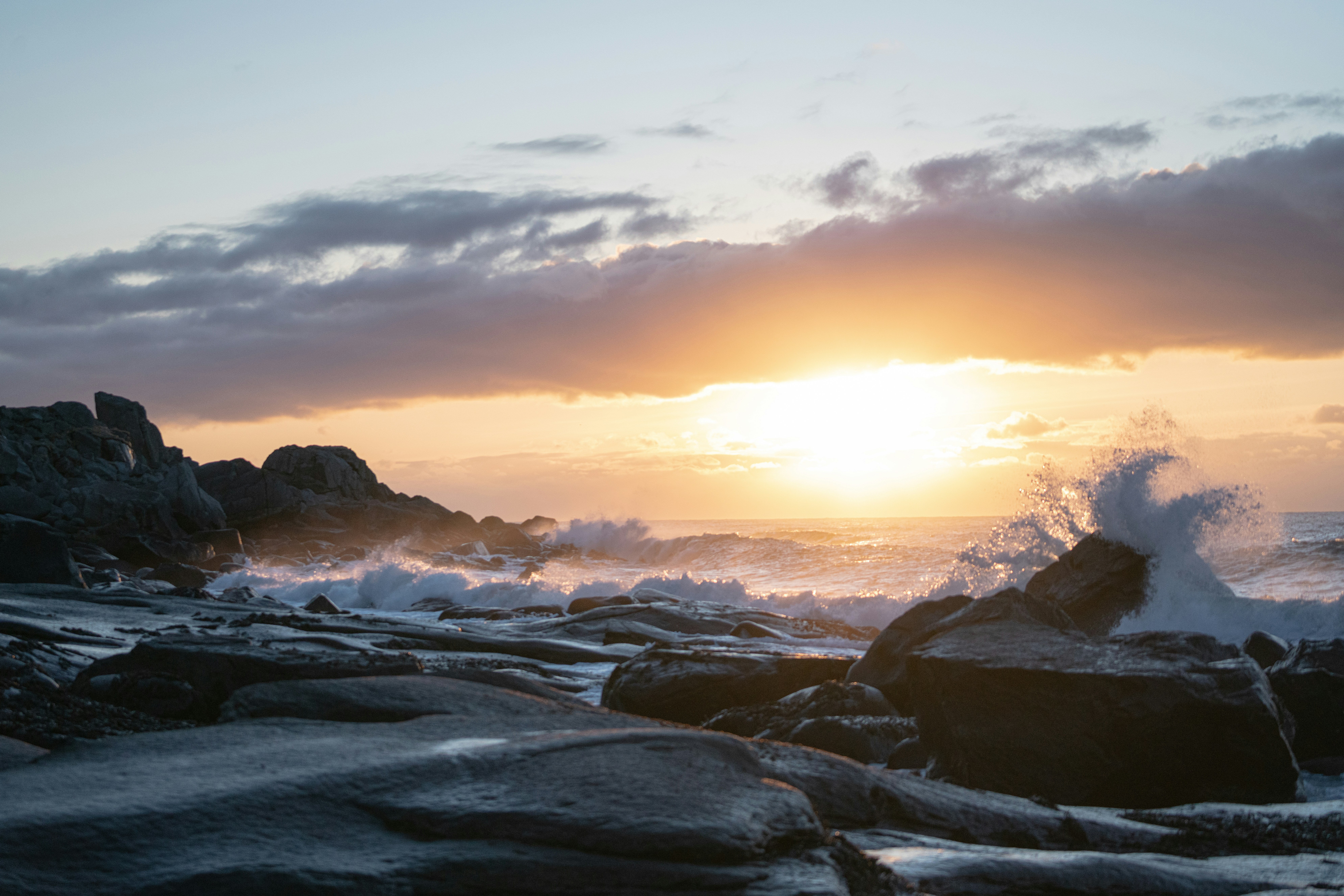 Photo by schneiderpics