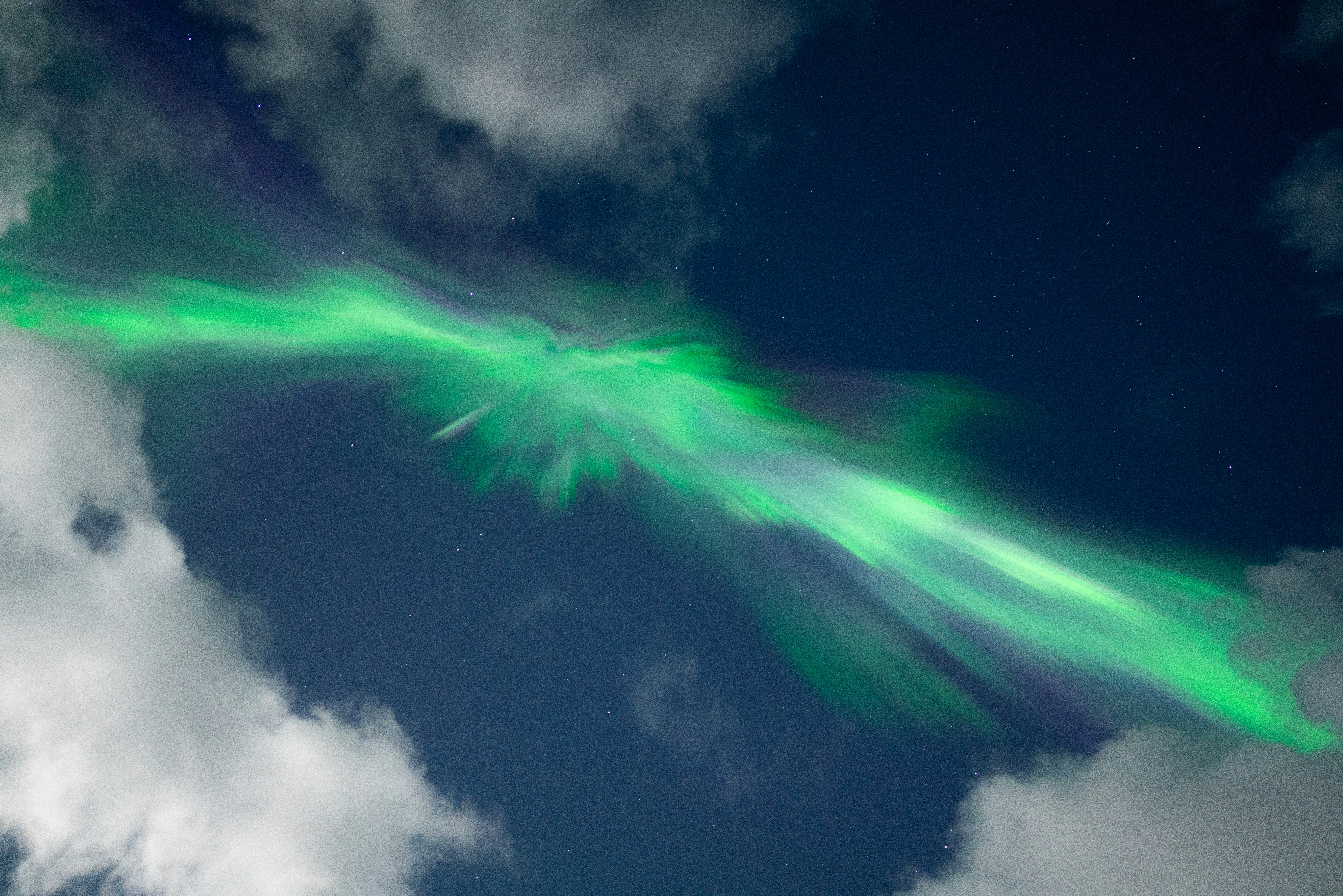 Interpreting Corporate Intelligence: A Blueprint for Stakeholders