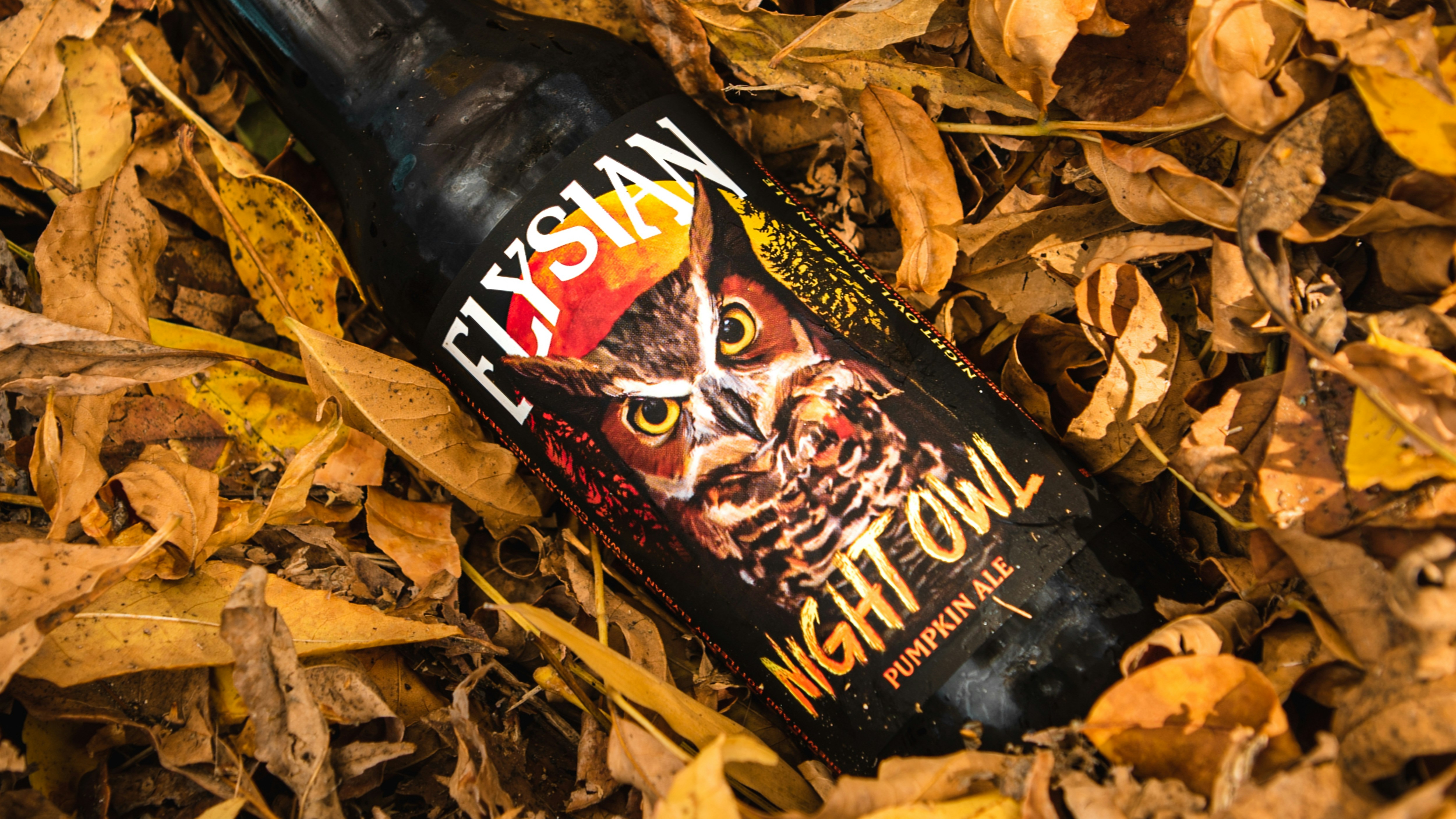 Old Black Bear Brewing Athens