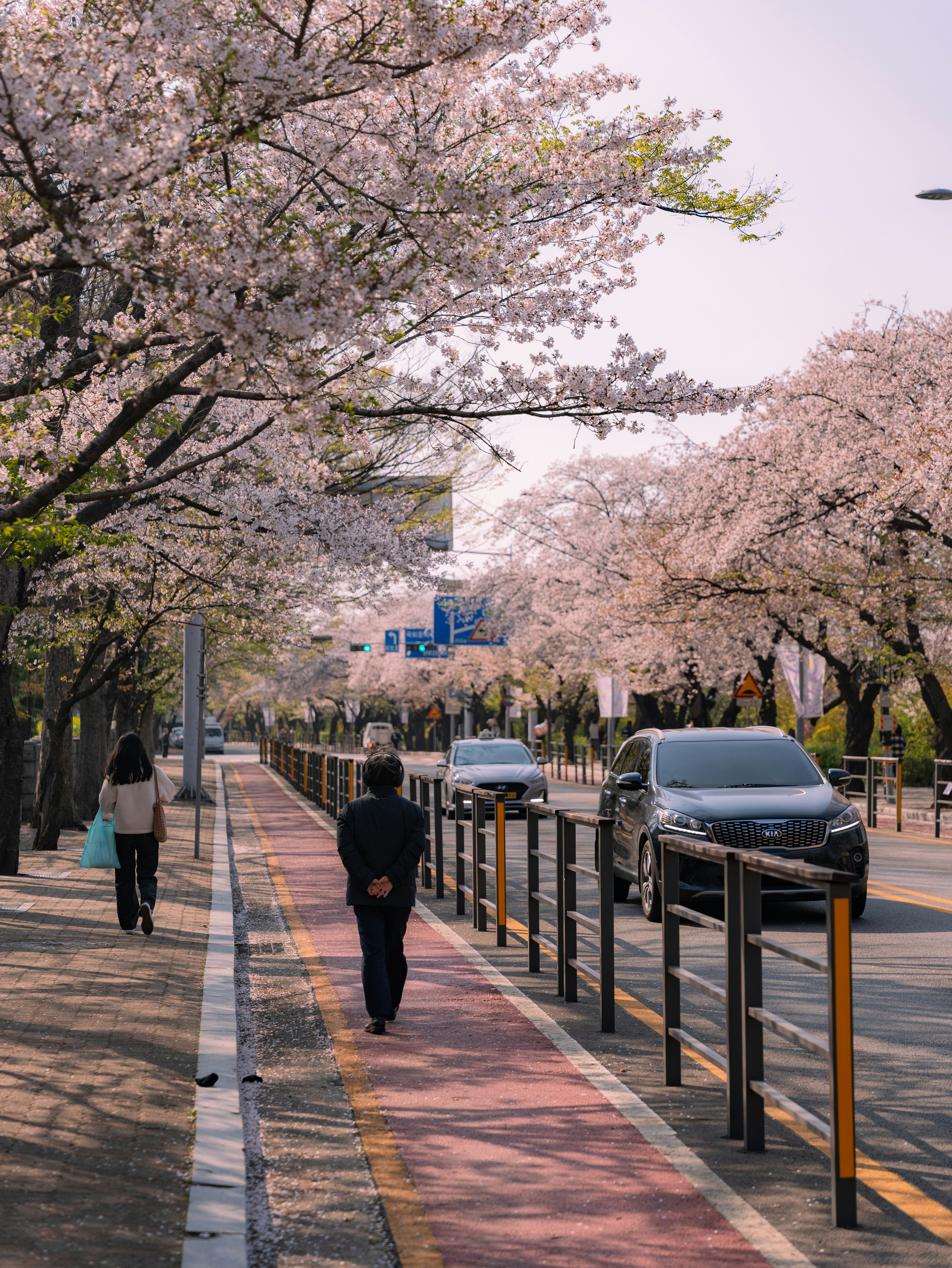 Photo by schneiderpics