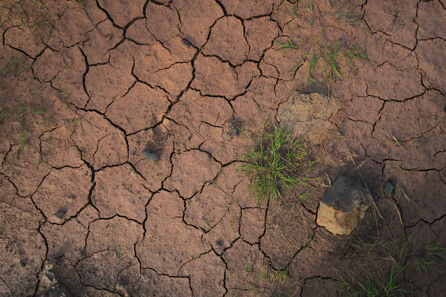 Cracked dry earth with sparse green grass and a rock