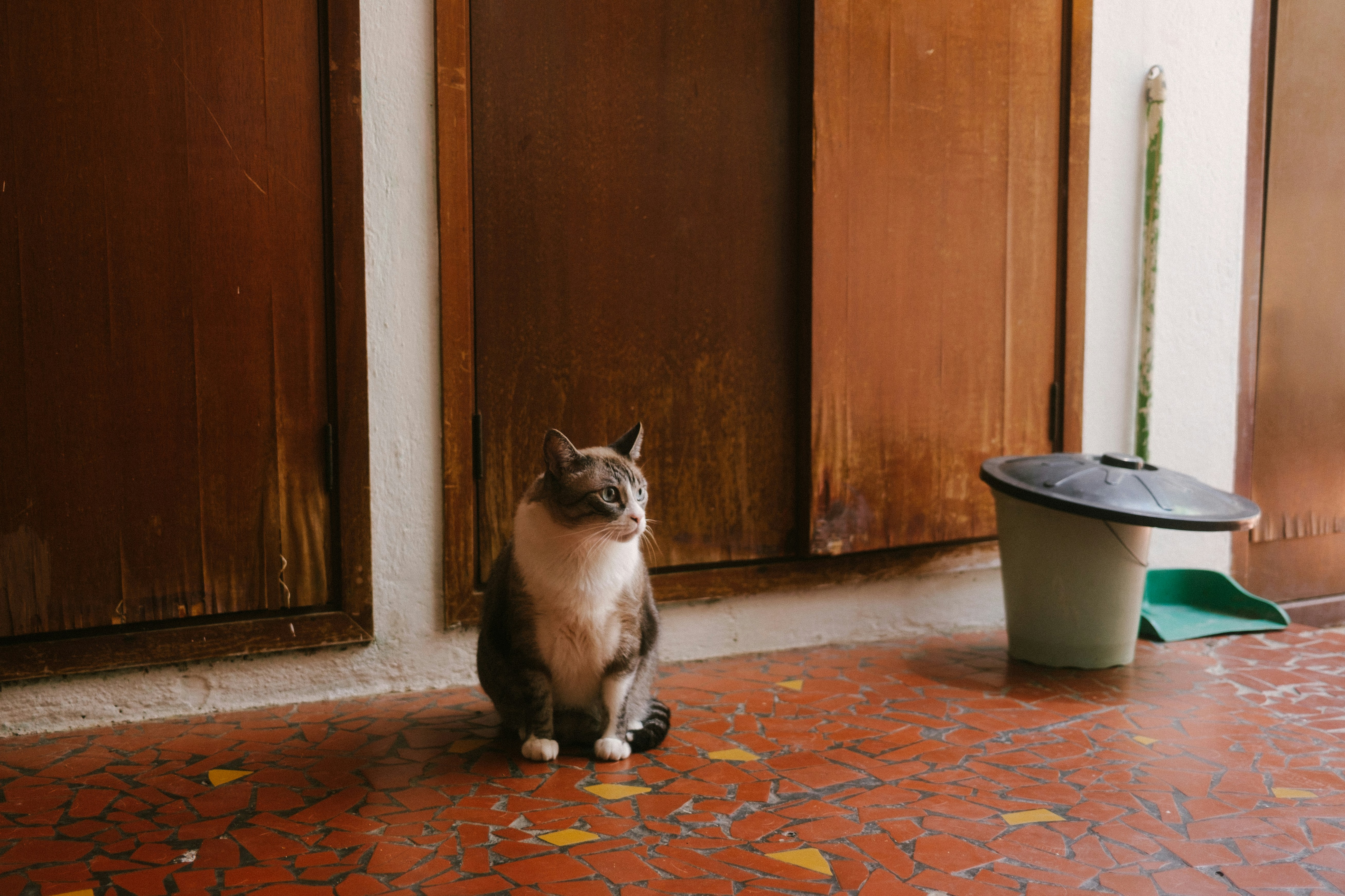 Photo by kenjikatahira