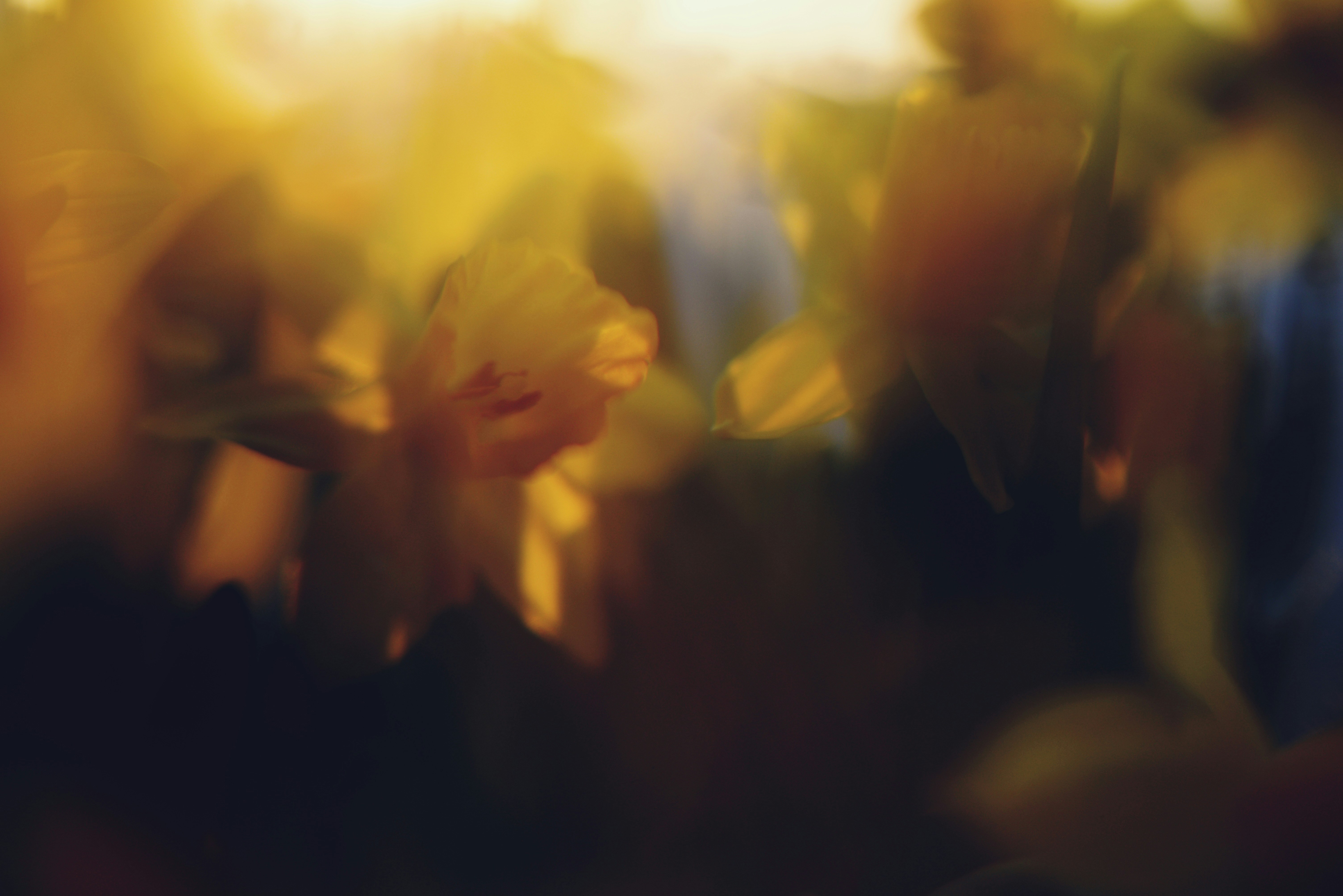 Photo by cherstve_pechivo