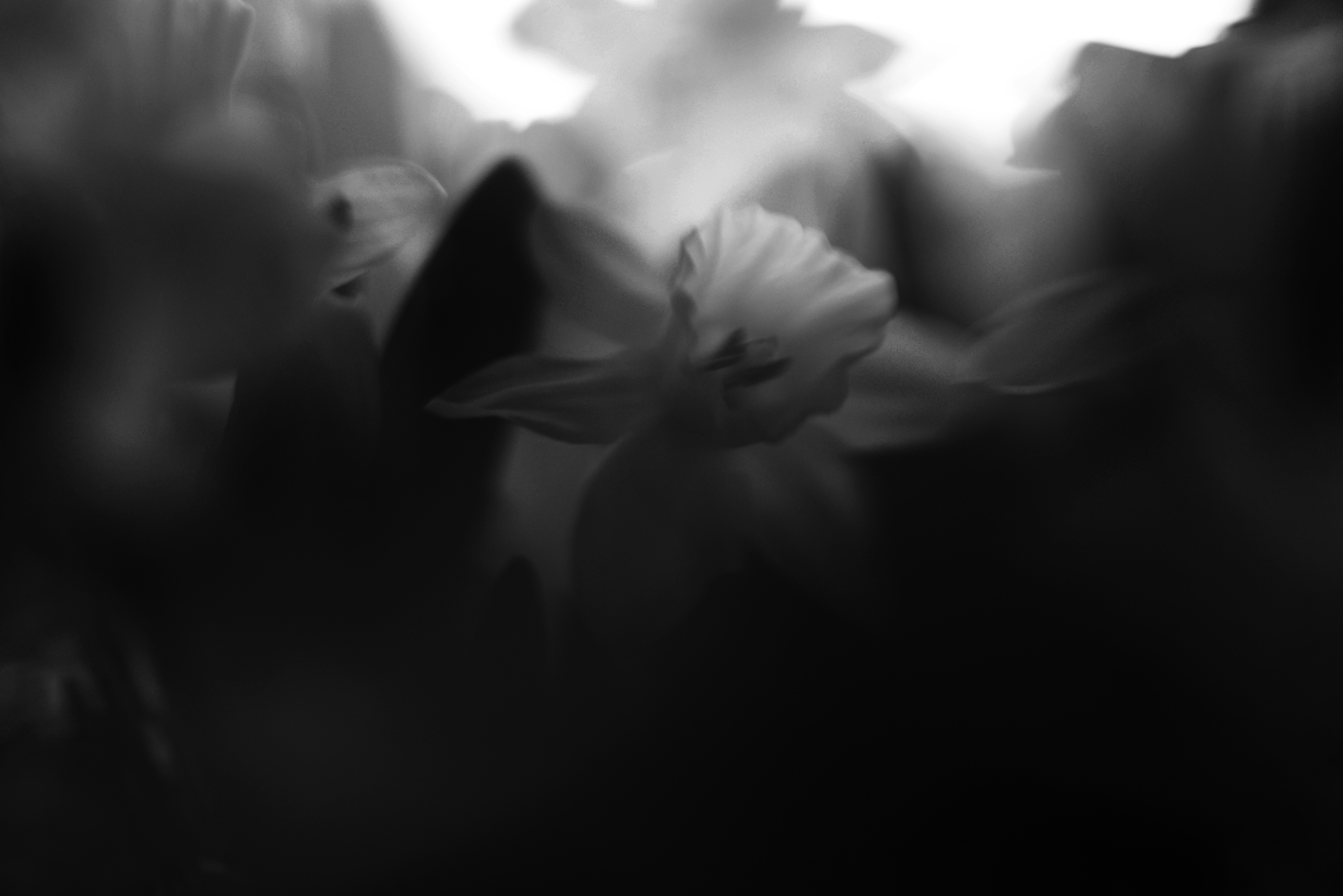 Photo by cherstve_pechivo