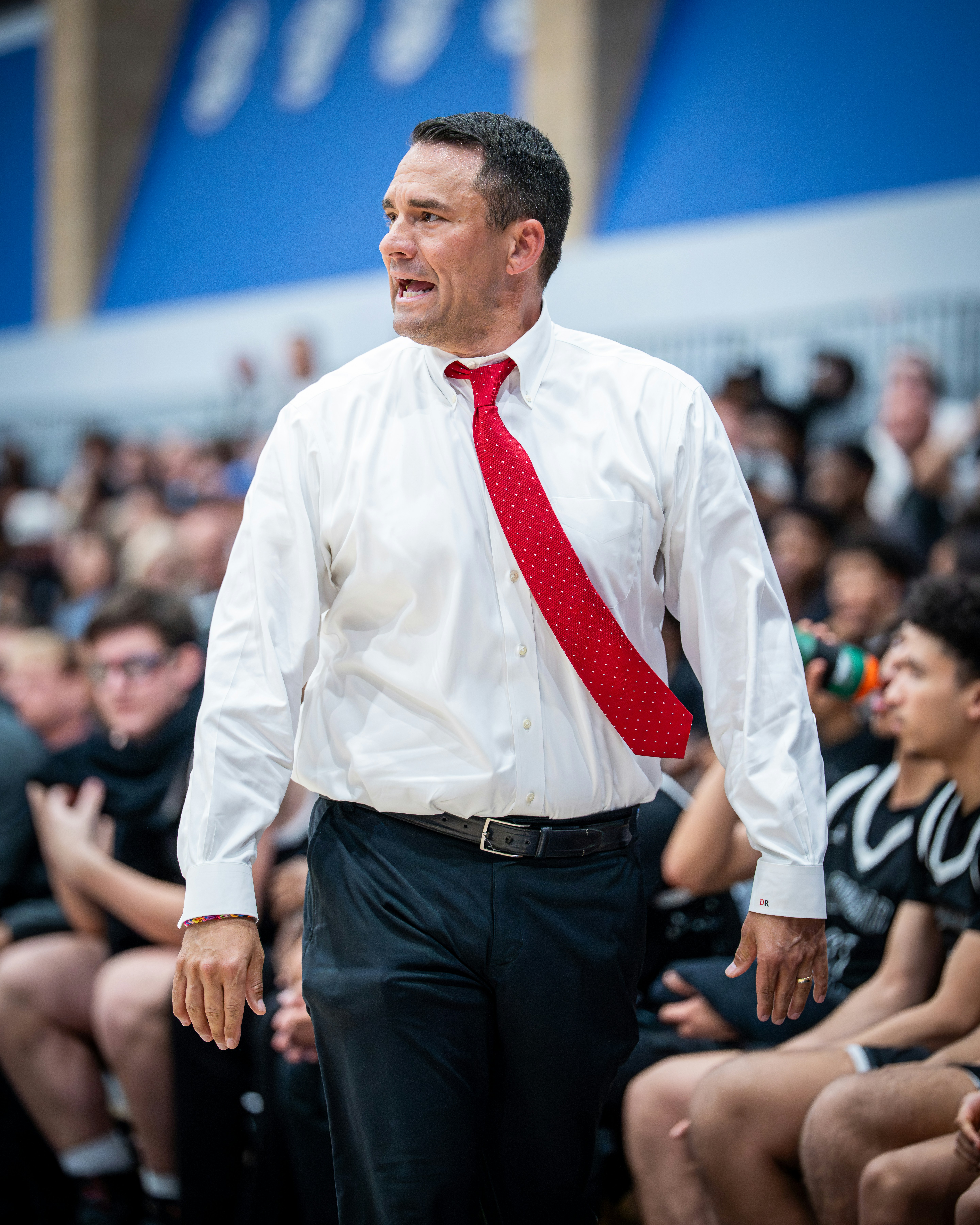 professional management