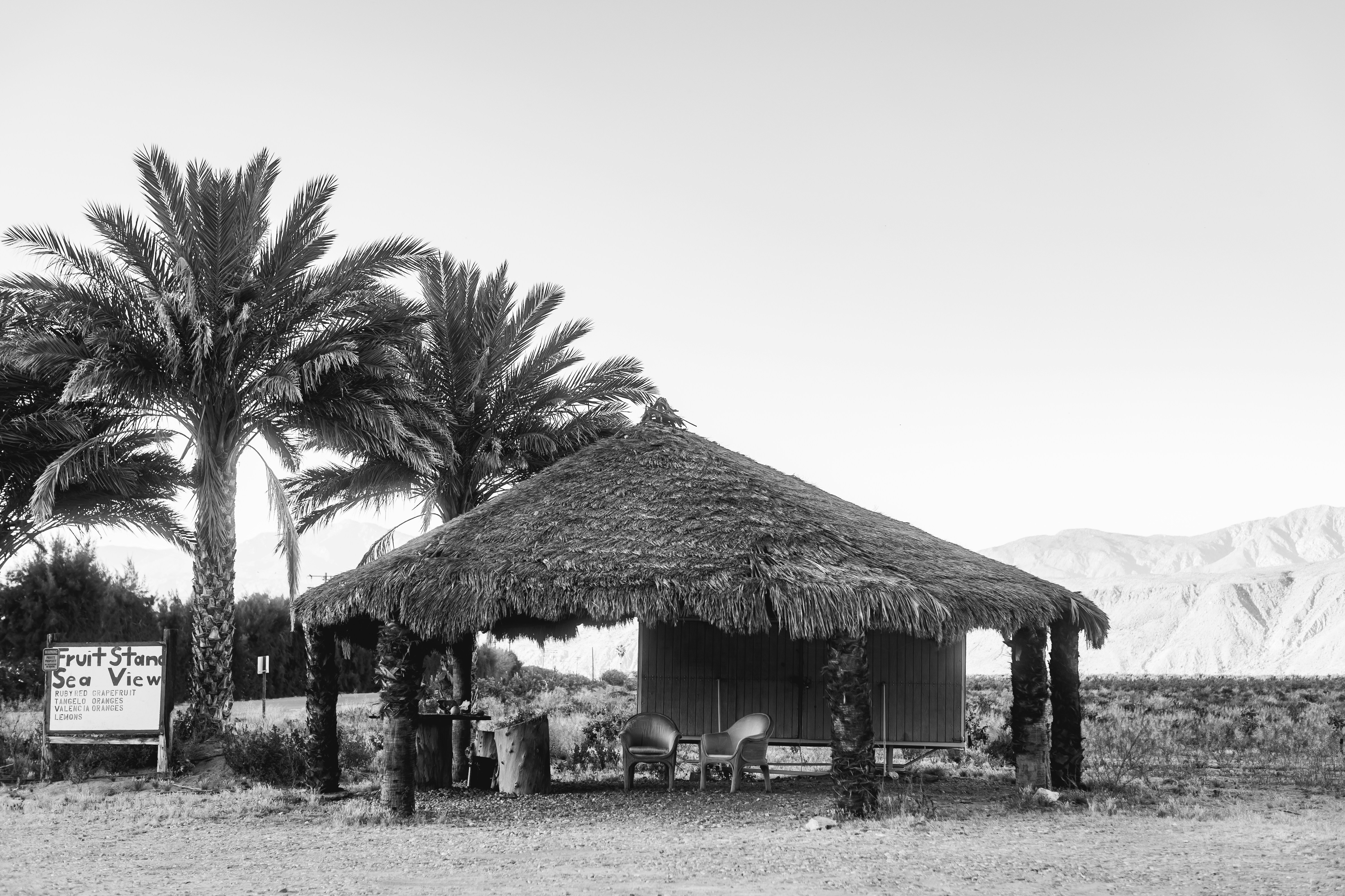 Thatched roof hut with palm trees and mountains