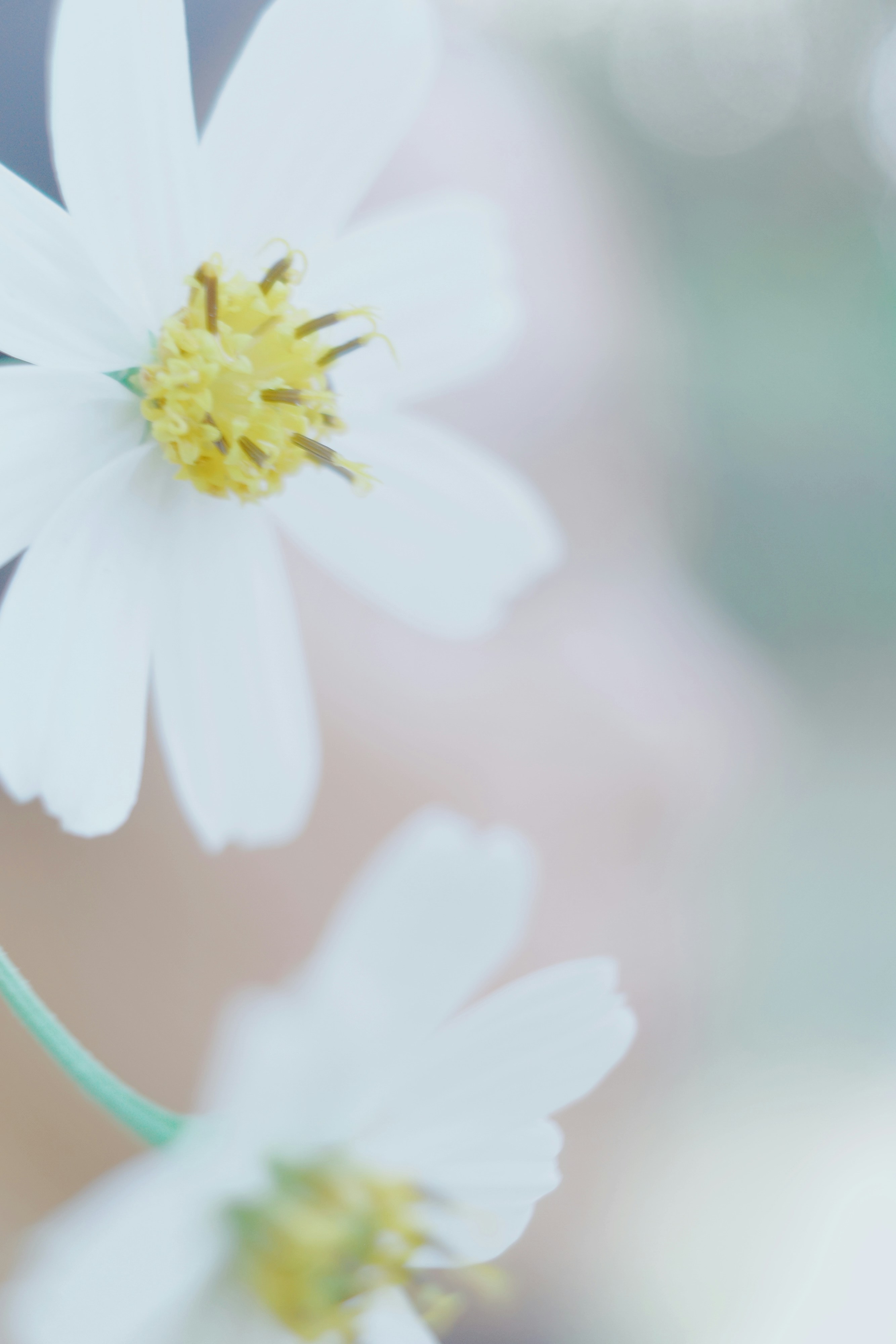 Photo by dickenslin76