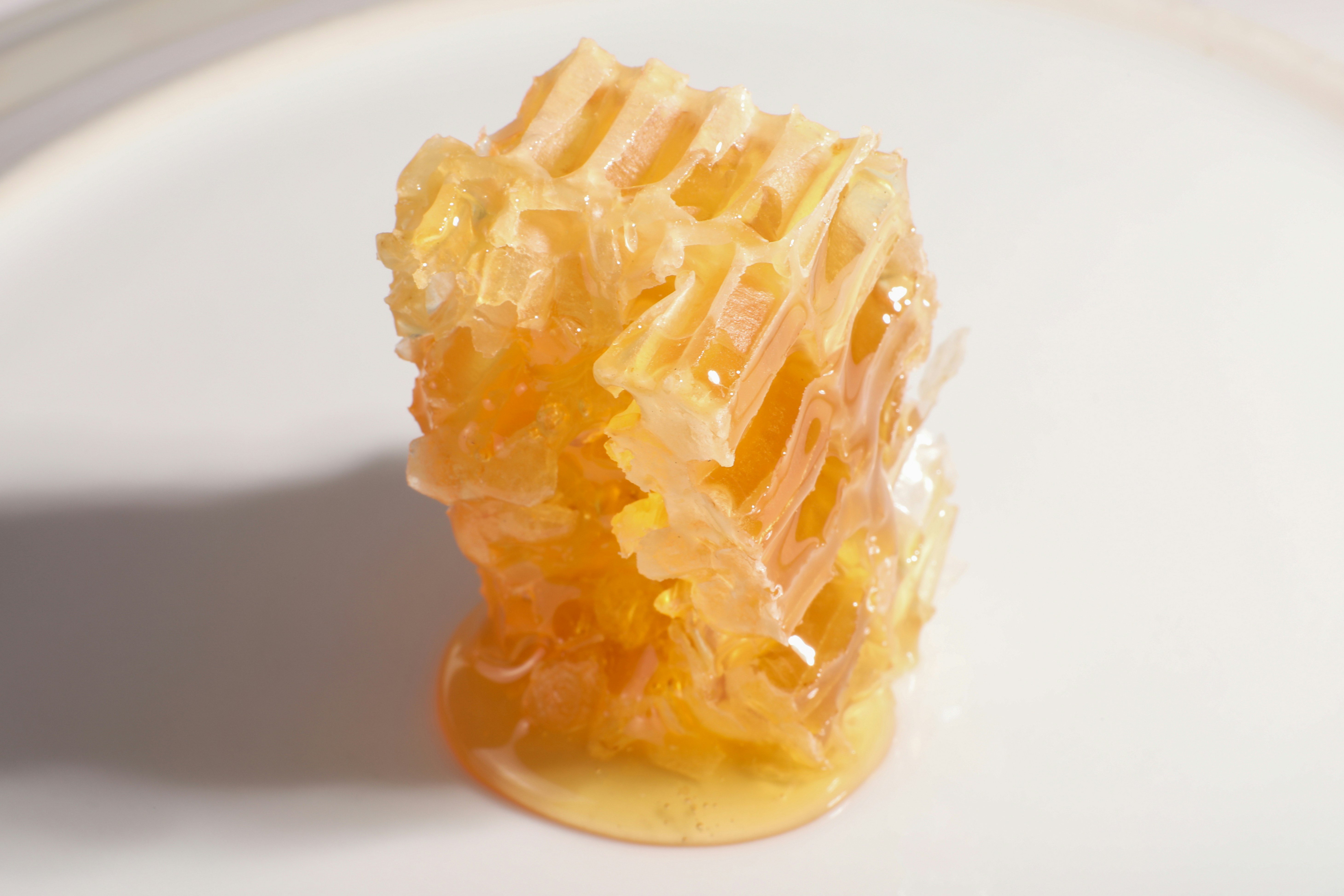 A piece of honeycomb with dripping honey
