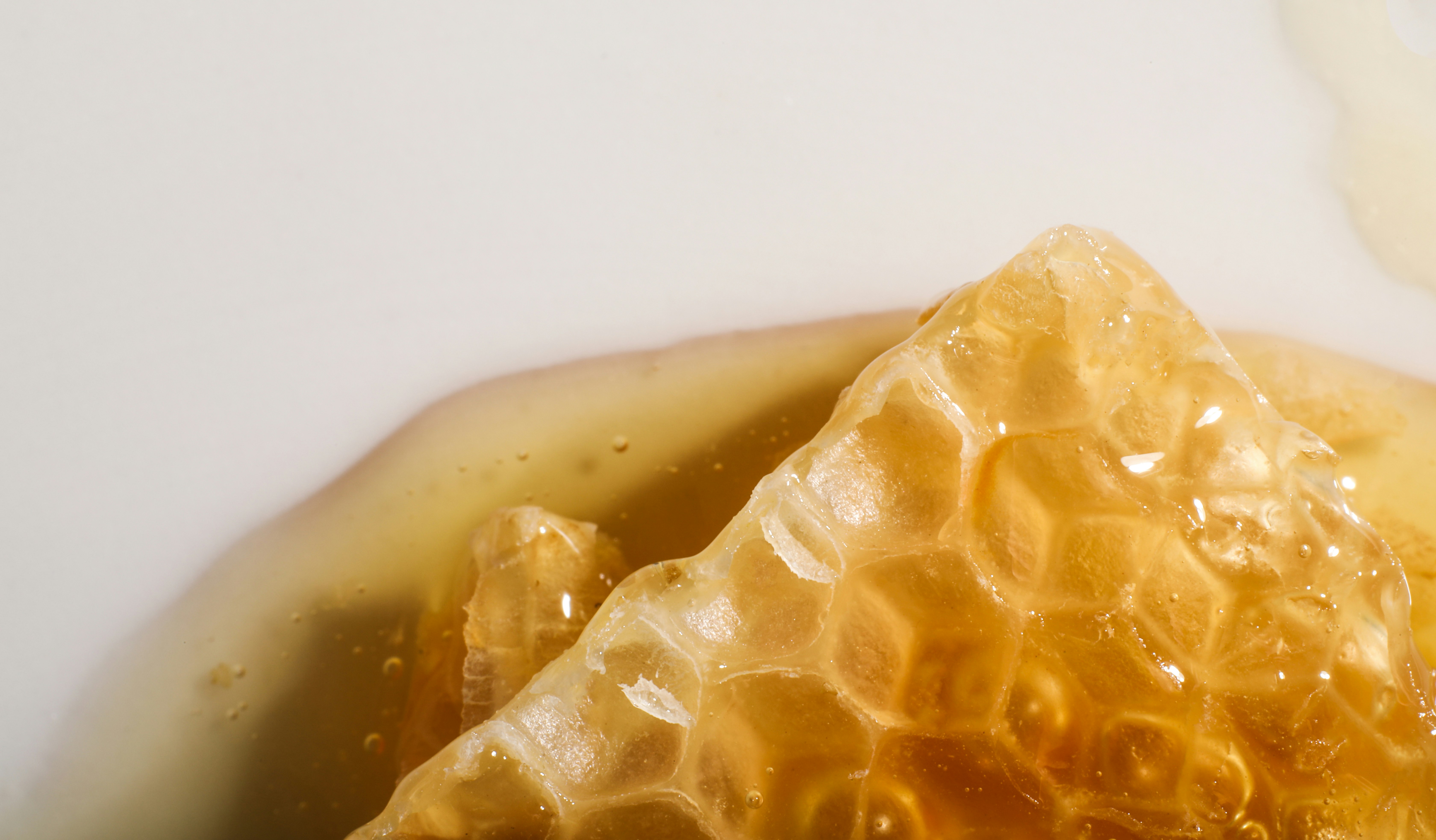 Photo by giorgiotrovato