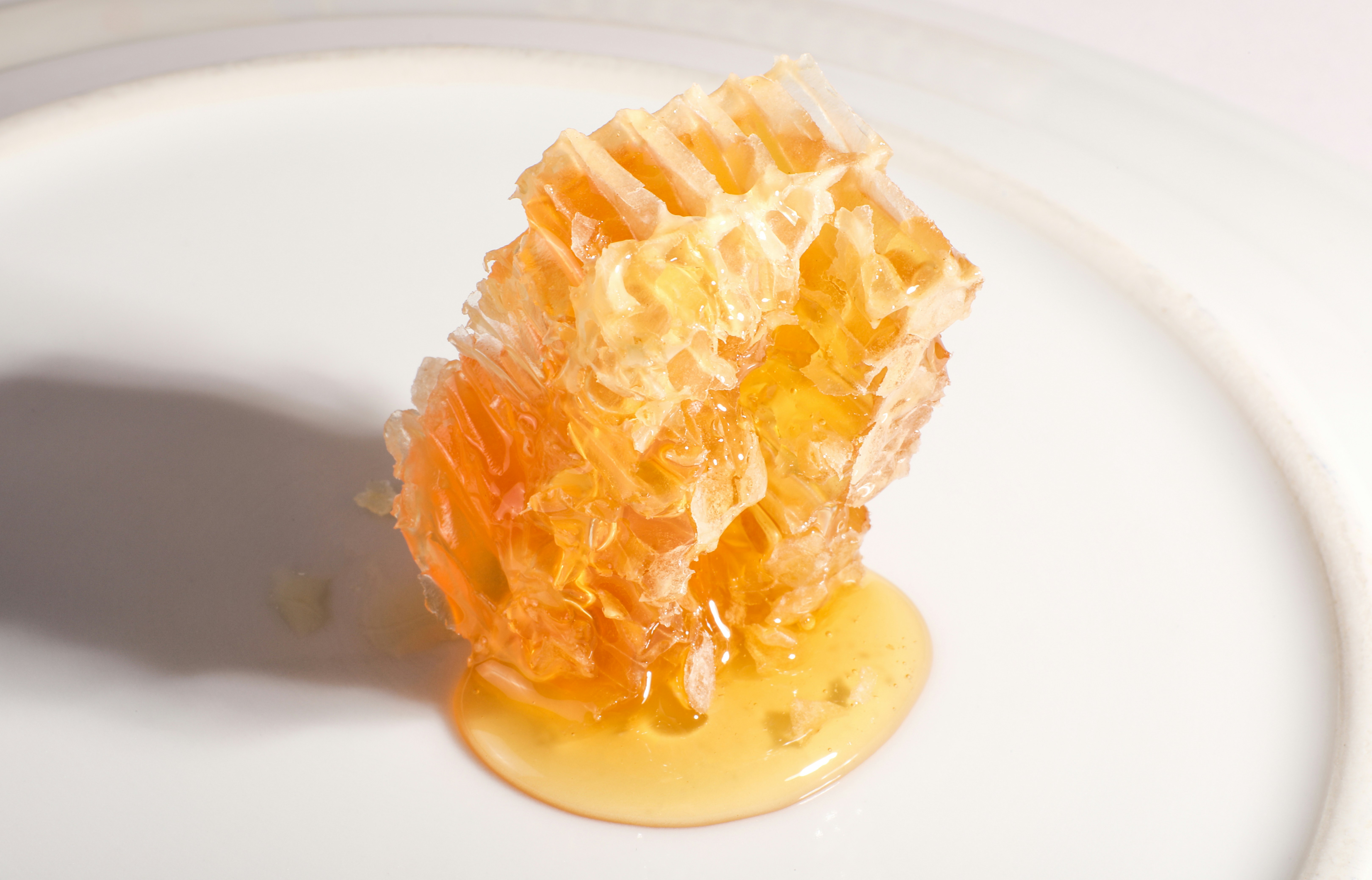 A close-up of a honeycomb dripping with golden honey.