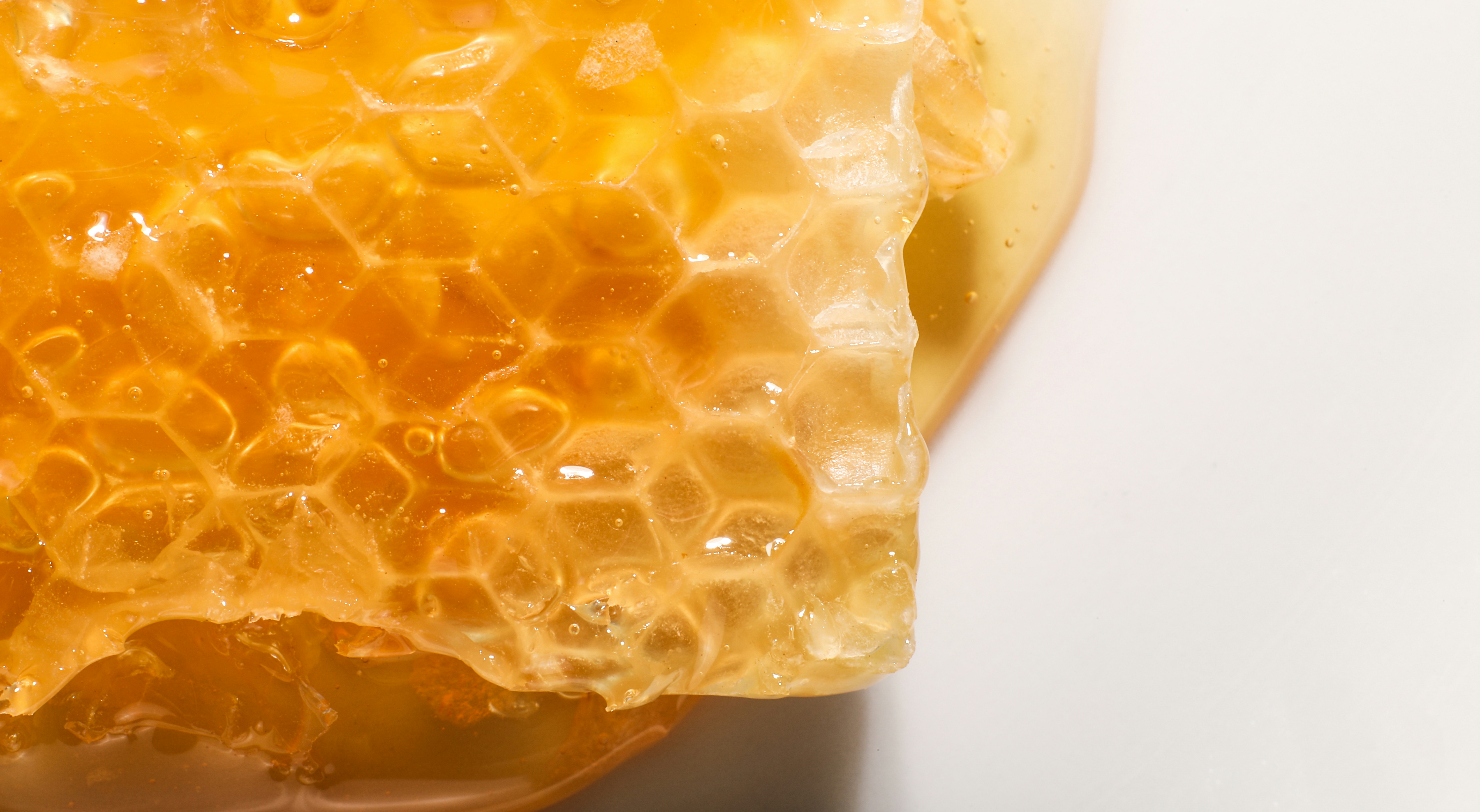 Photo by giorgiotrovato