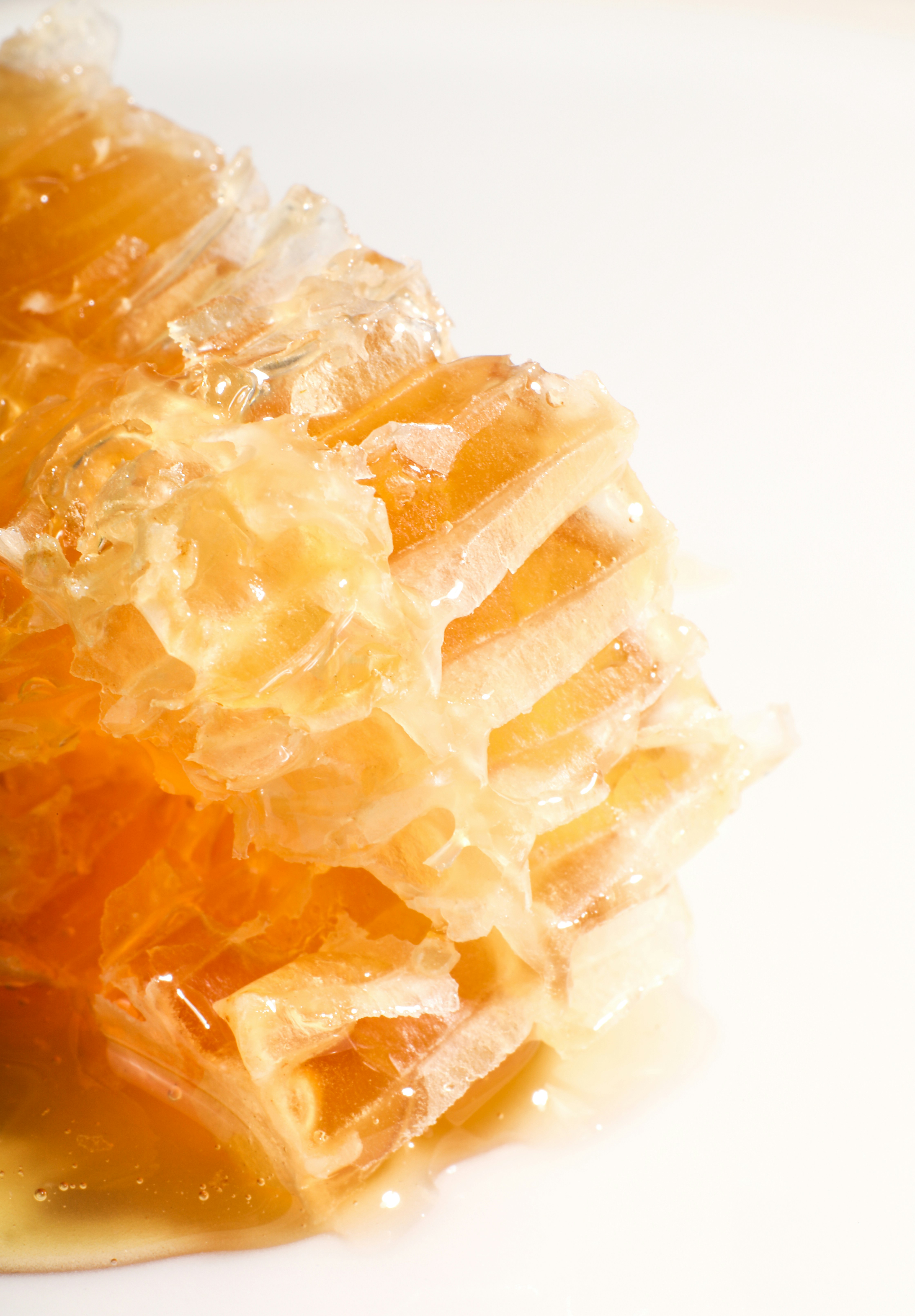 Close-up of golden honeycomb dripping with honey