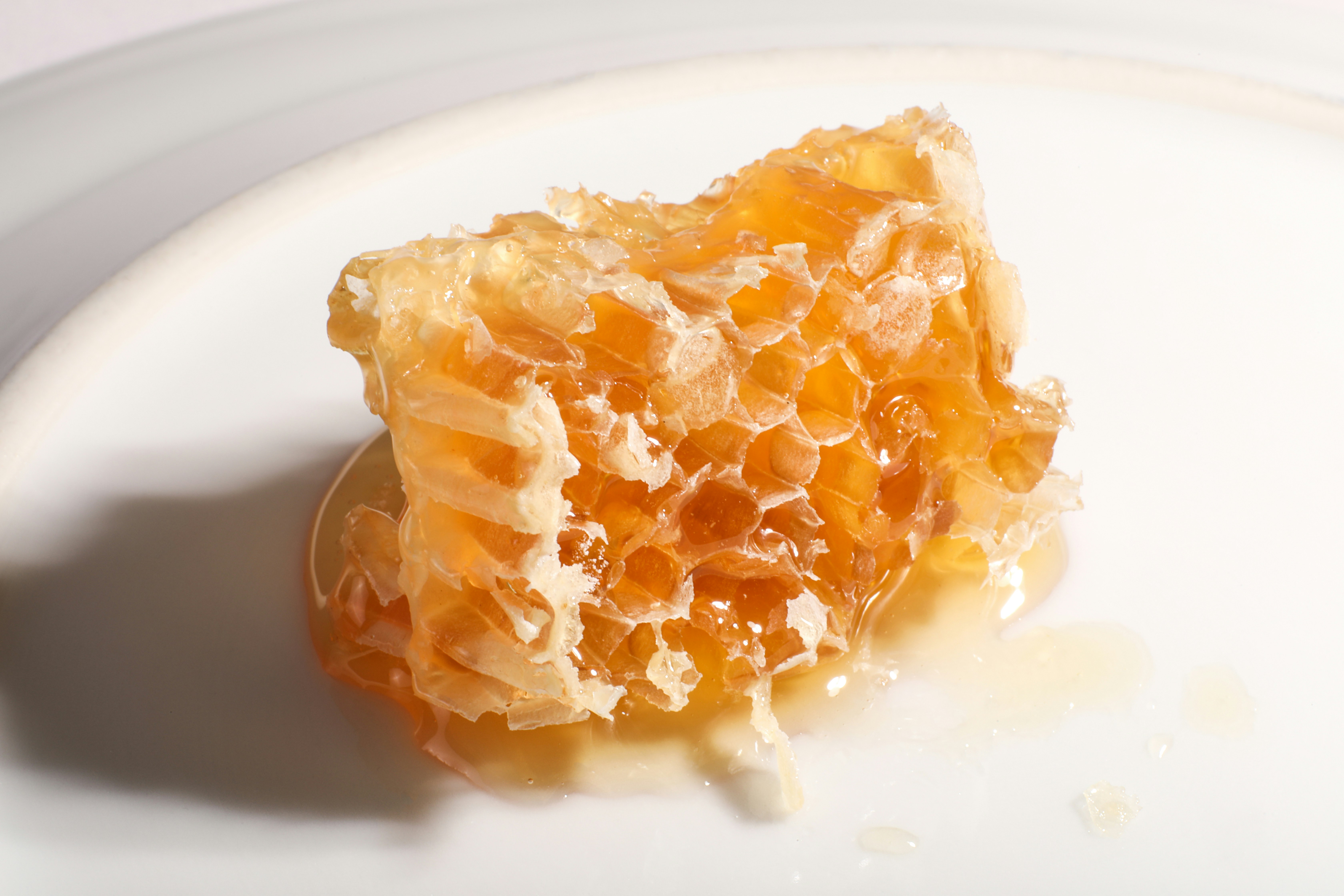A piece of honeycomb with dripping honey