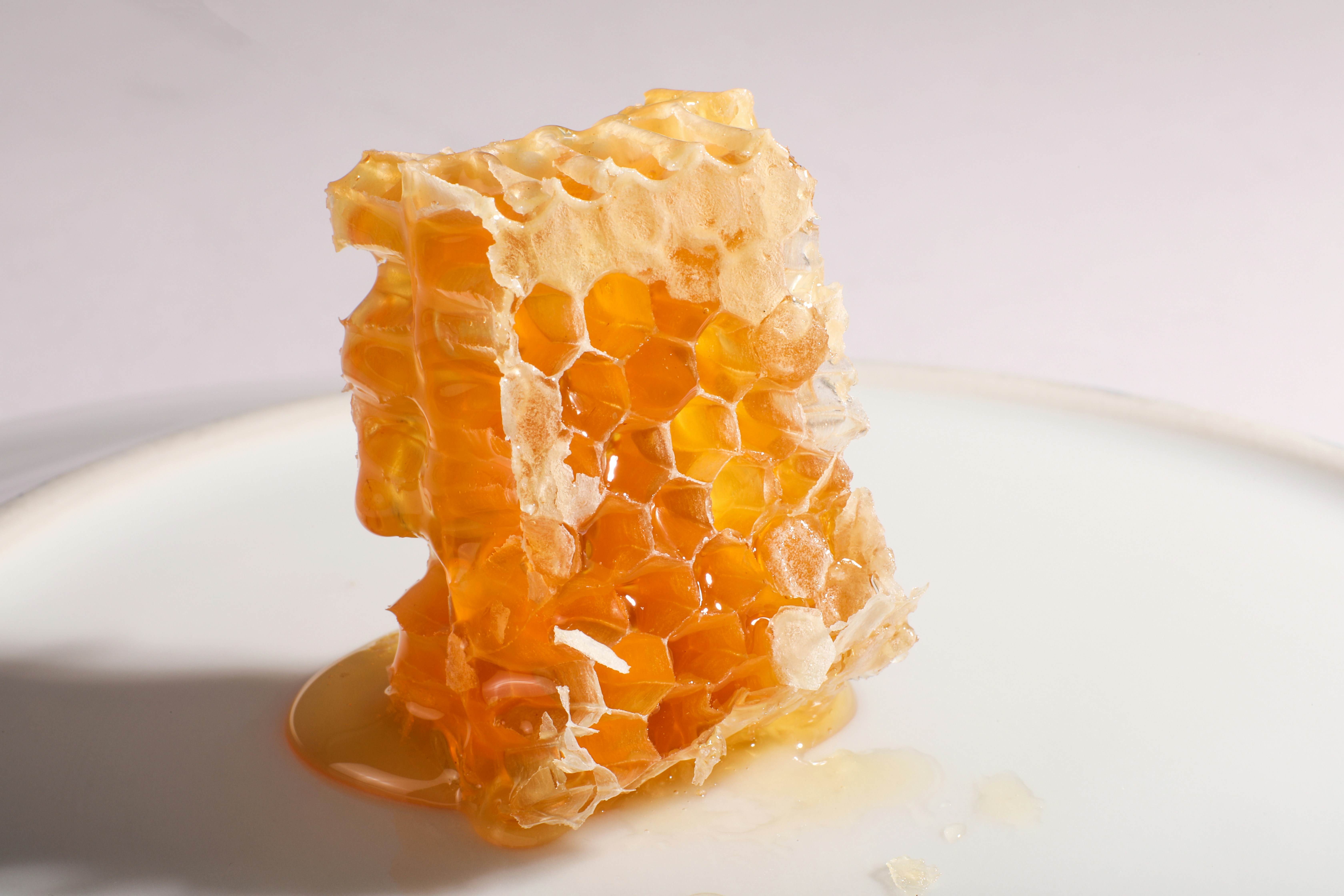 A piece of honeycomb with dripping honey