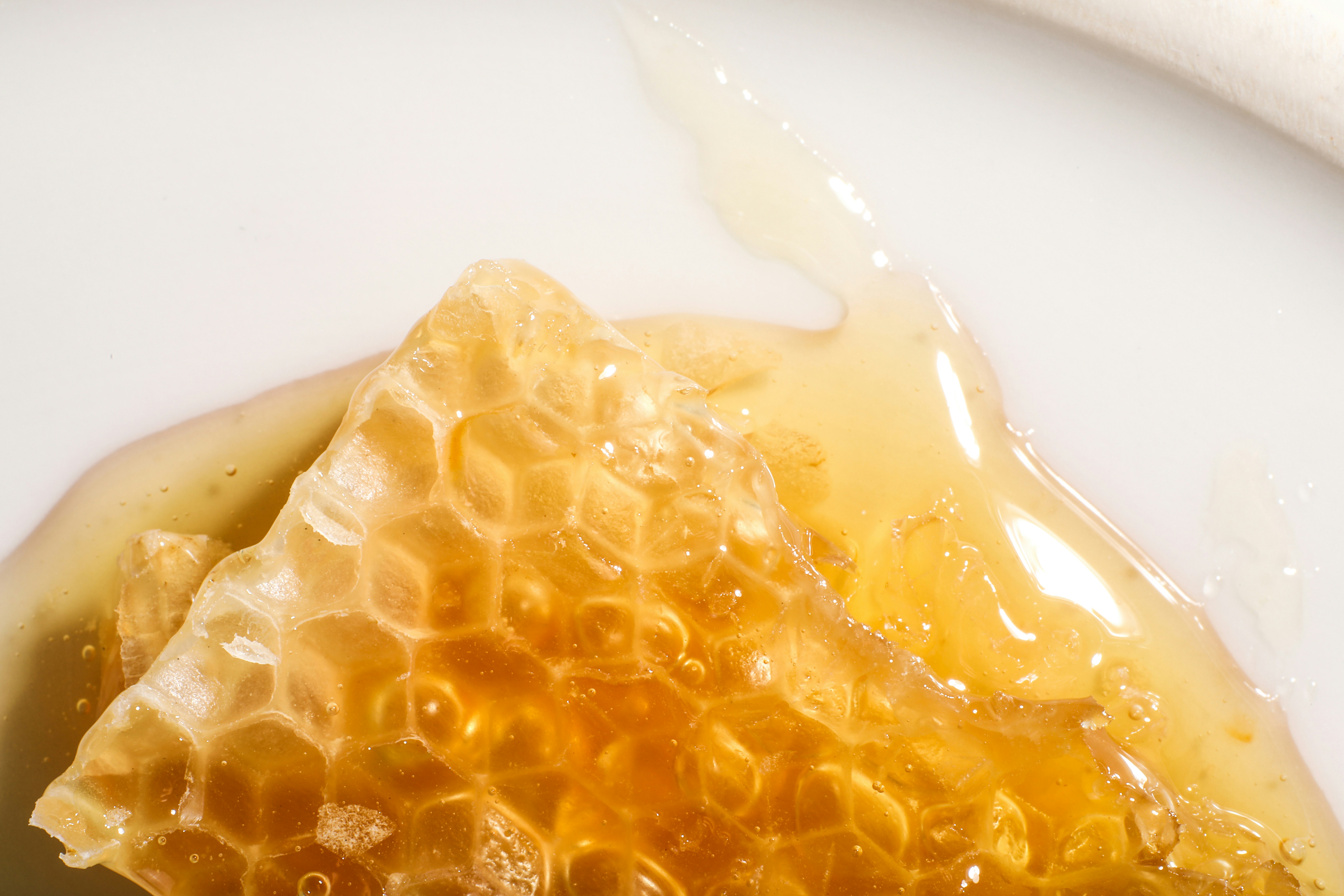 Close-up of honeycomb with dripping honey