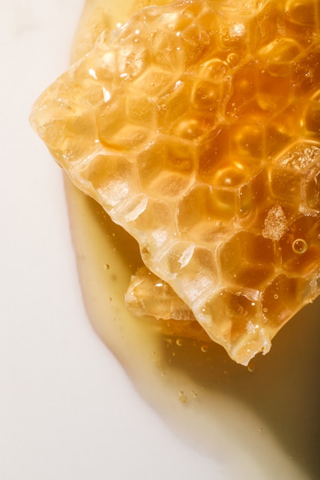 Natural honeycomb and botanical ingredients in warm light