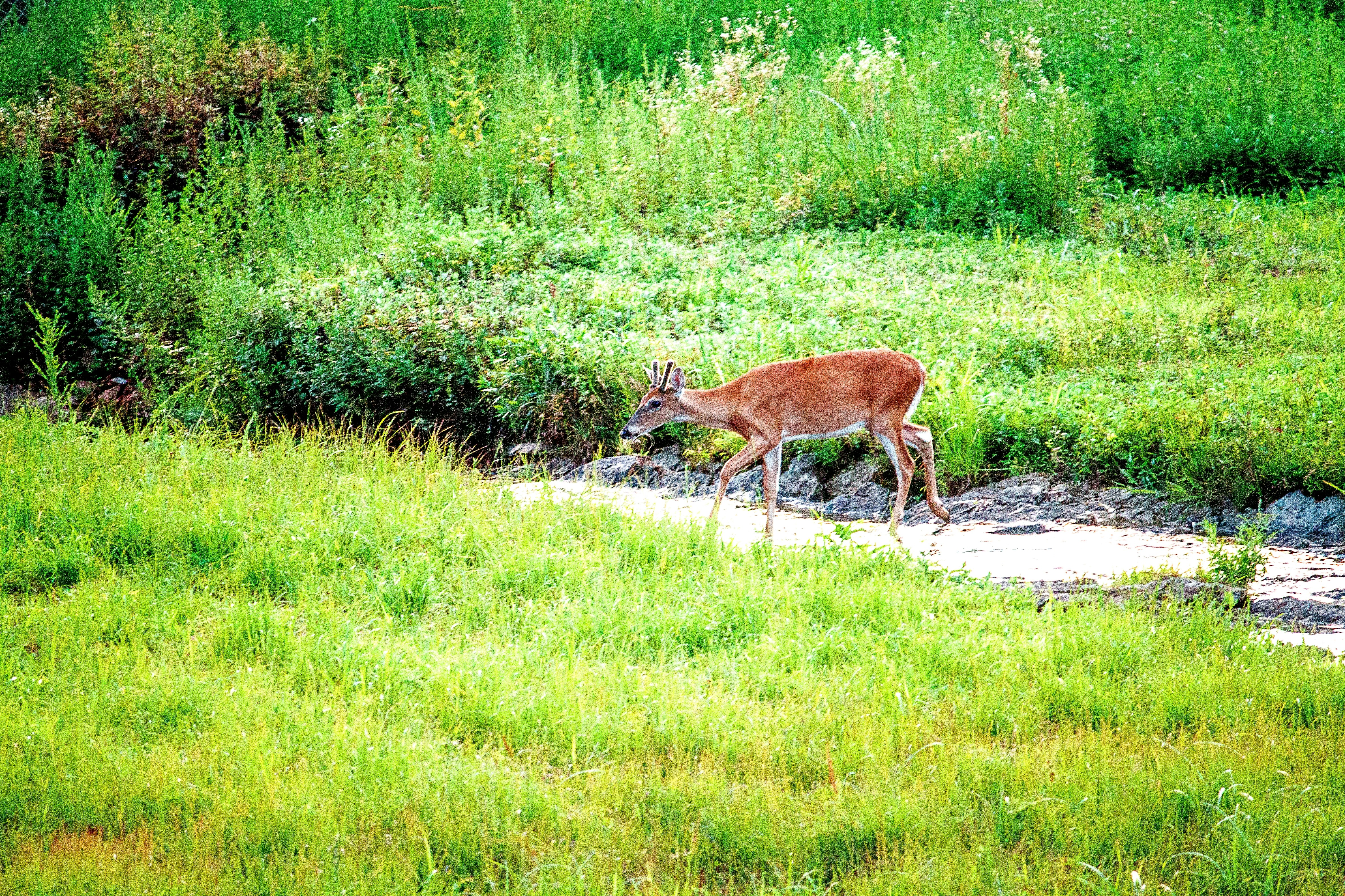Pennsylvania