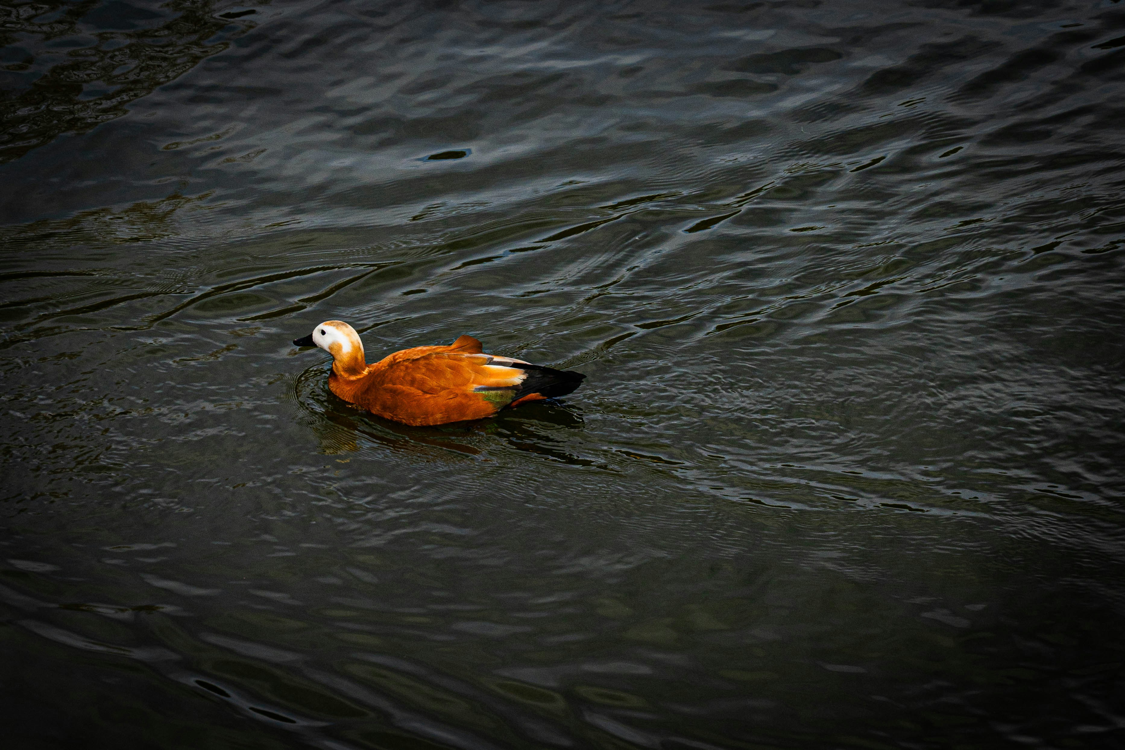 Photo by maviatlas