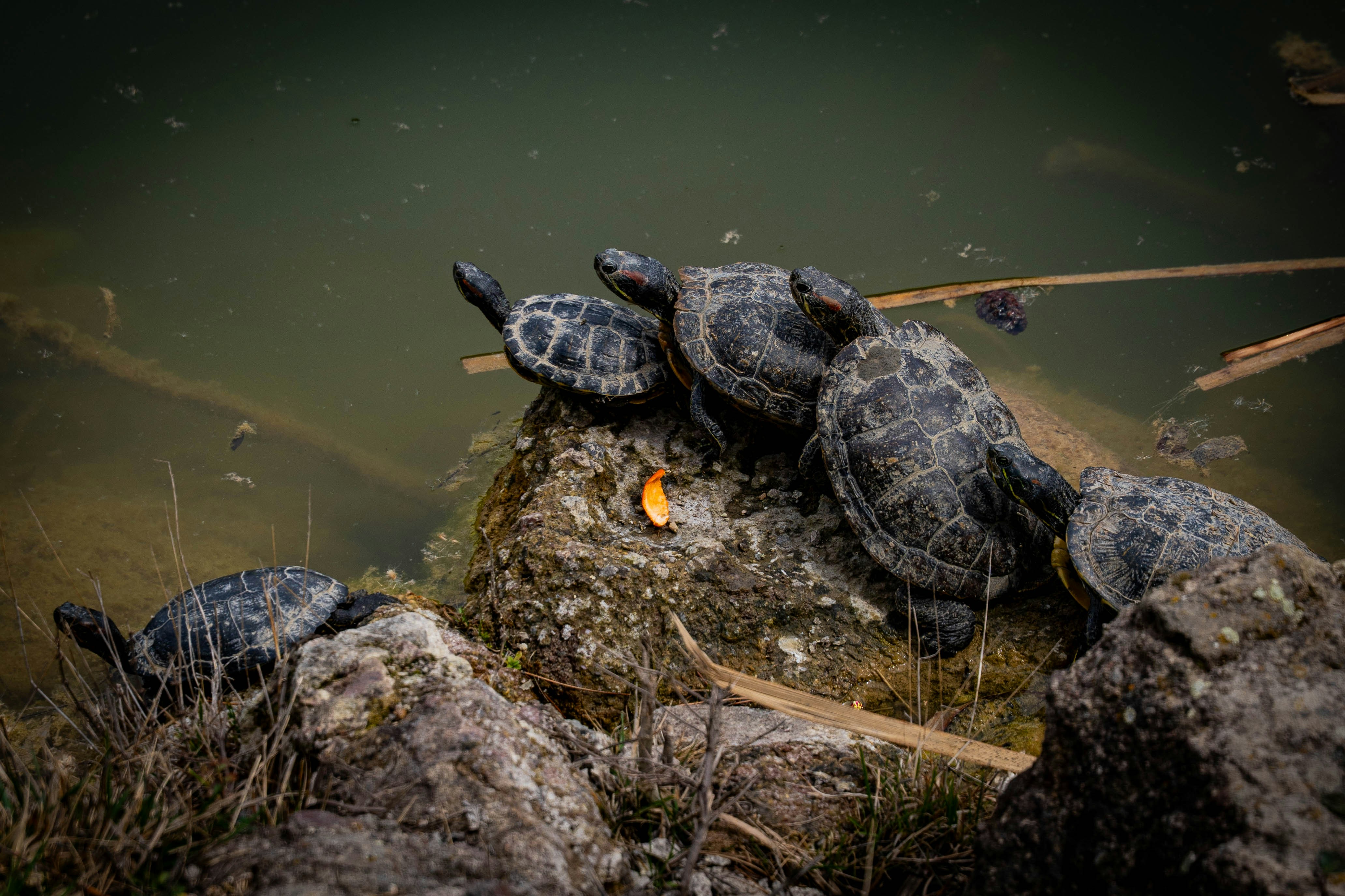 Photo by maviatlas