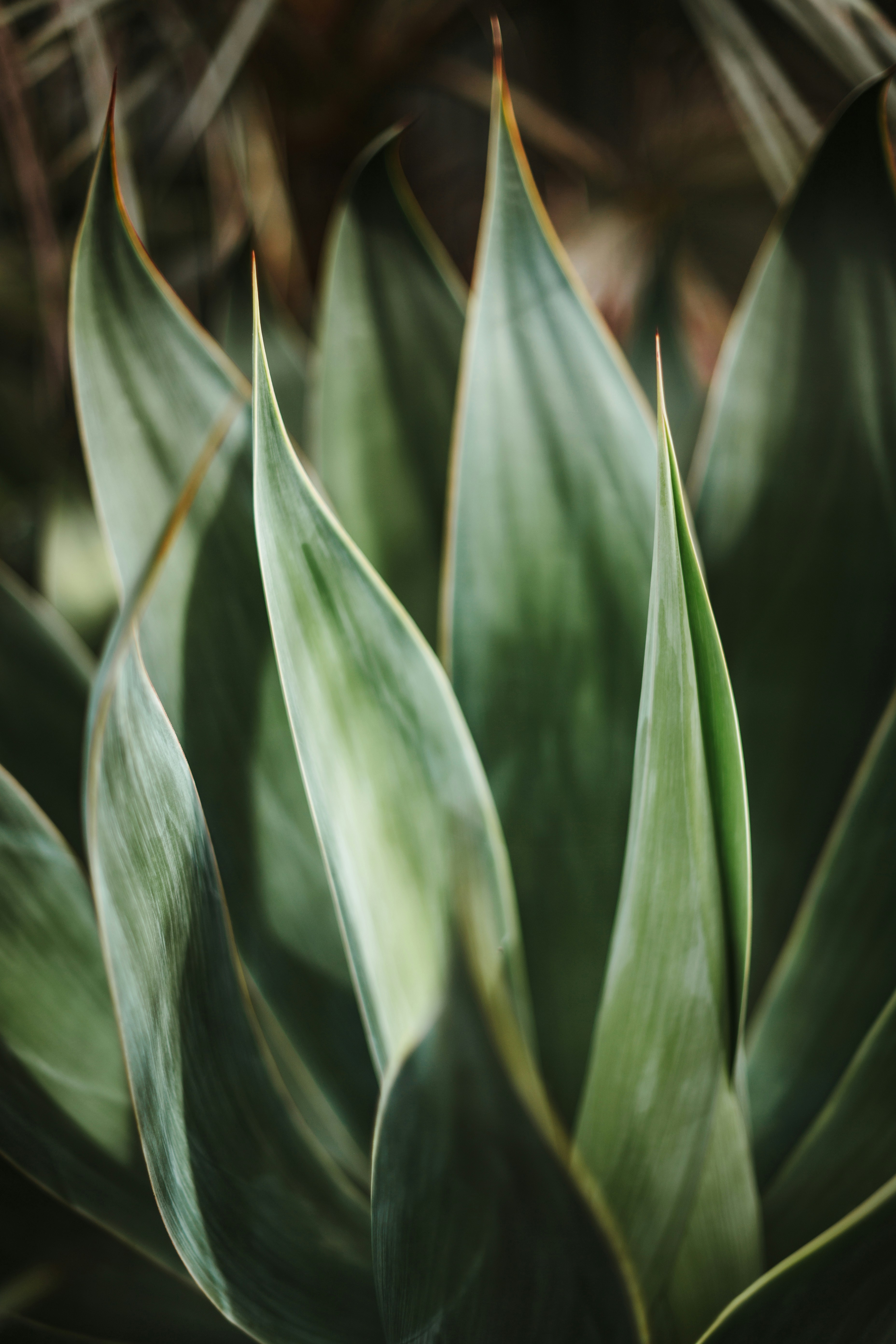 Photo by timmossholder