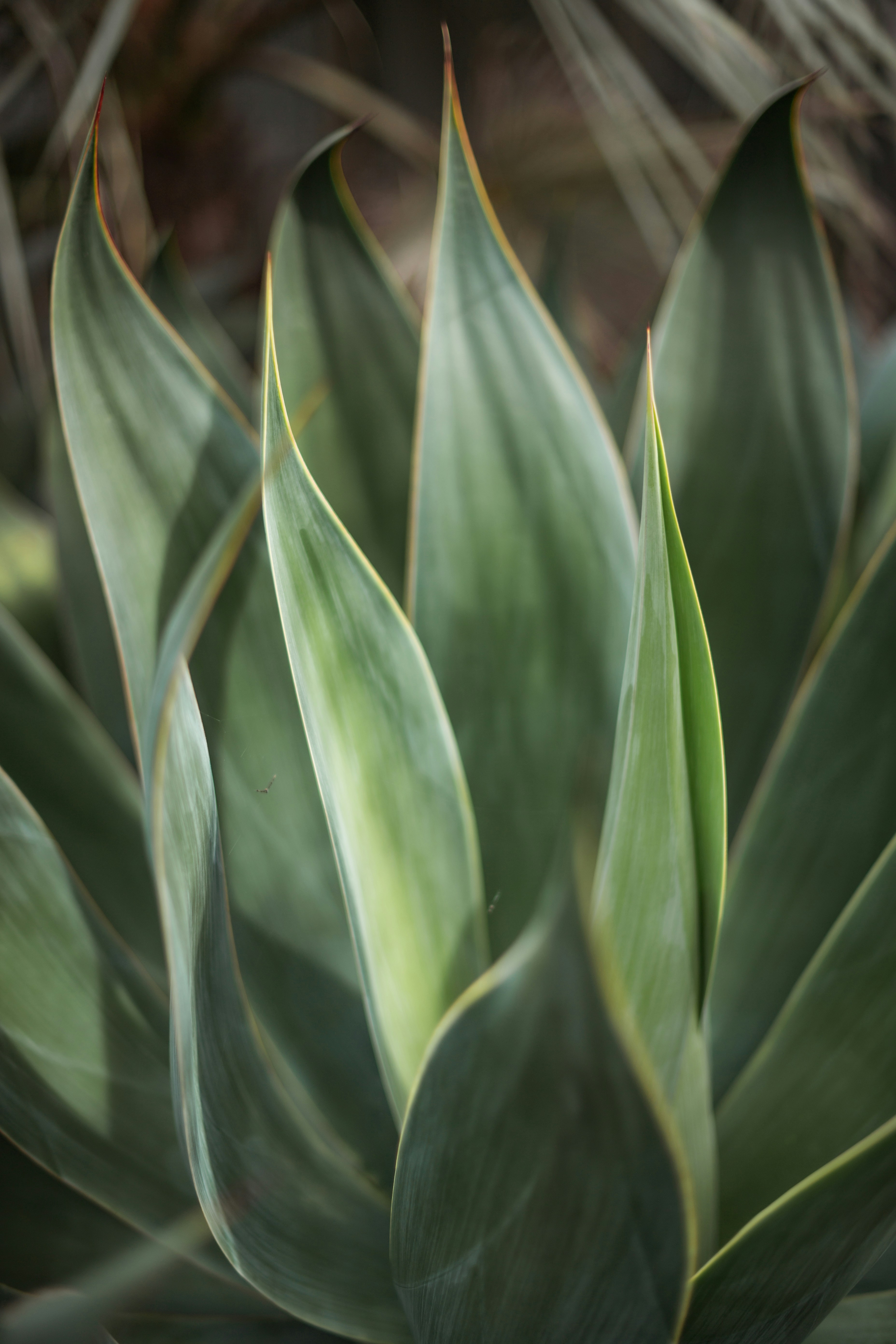 Photo by timmossholder