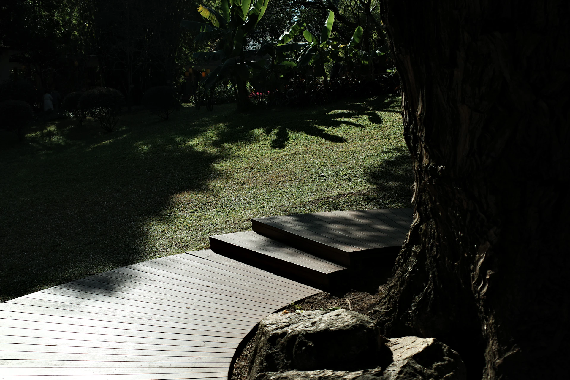 Wooden deck and steps leading down to a grassy backyard