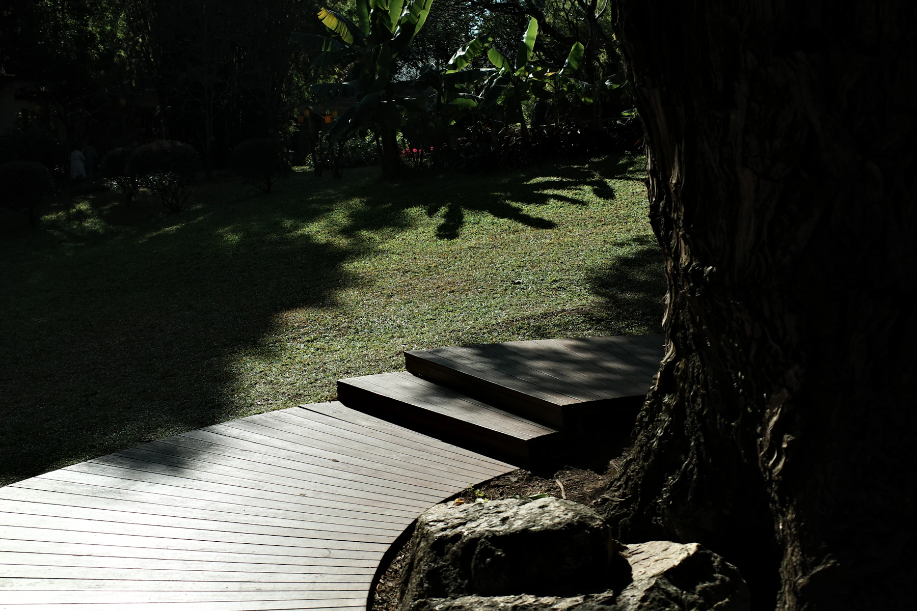 Wooden deck and steps leading to a landscaped grassy yard