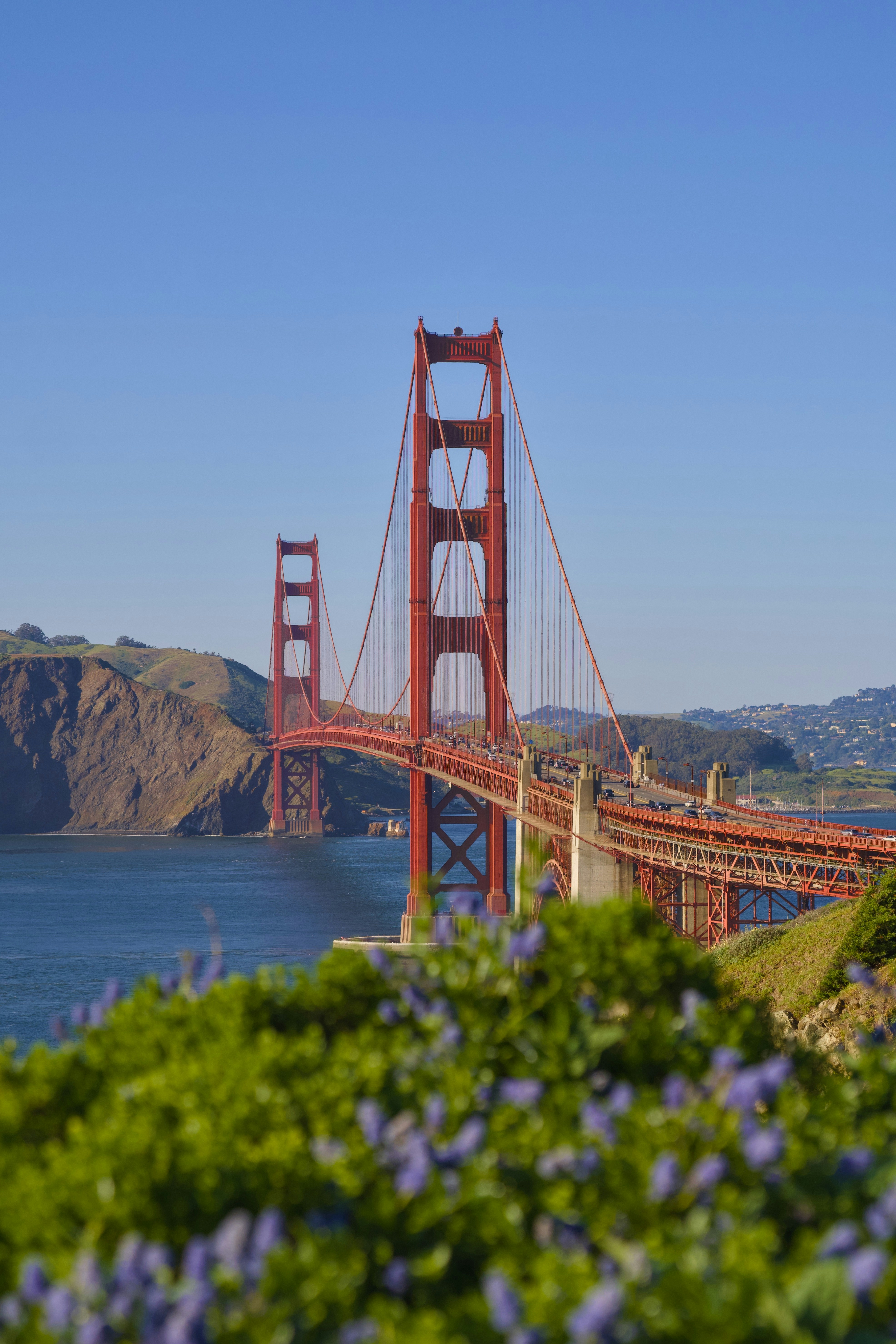 Photo by spencer_demera