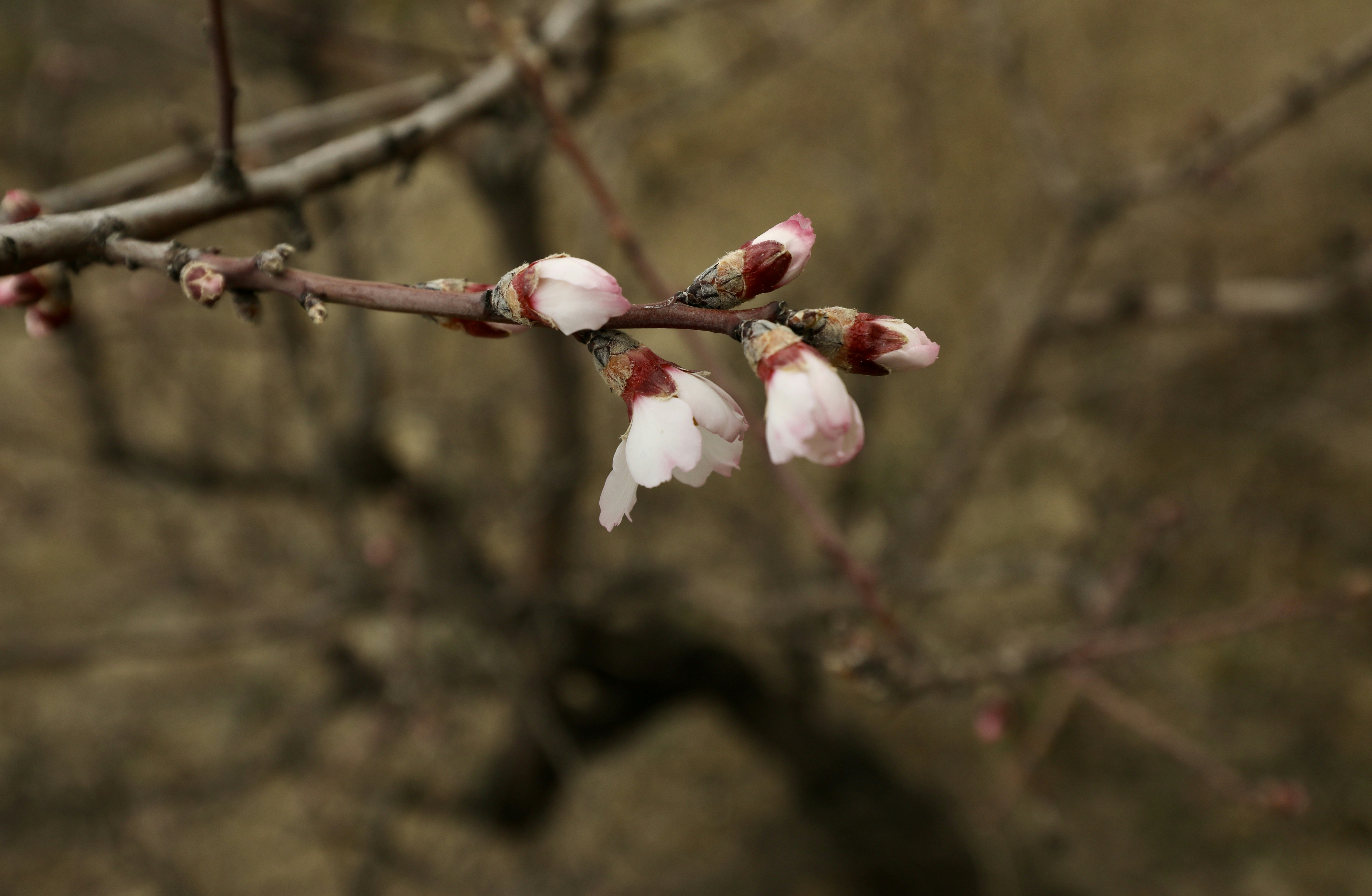 Photo by konevi