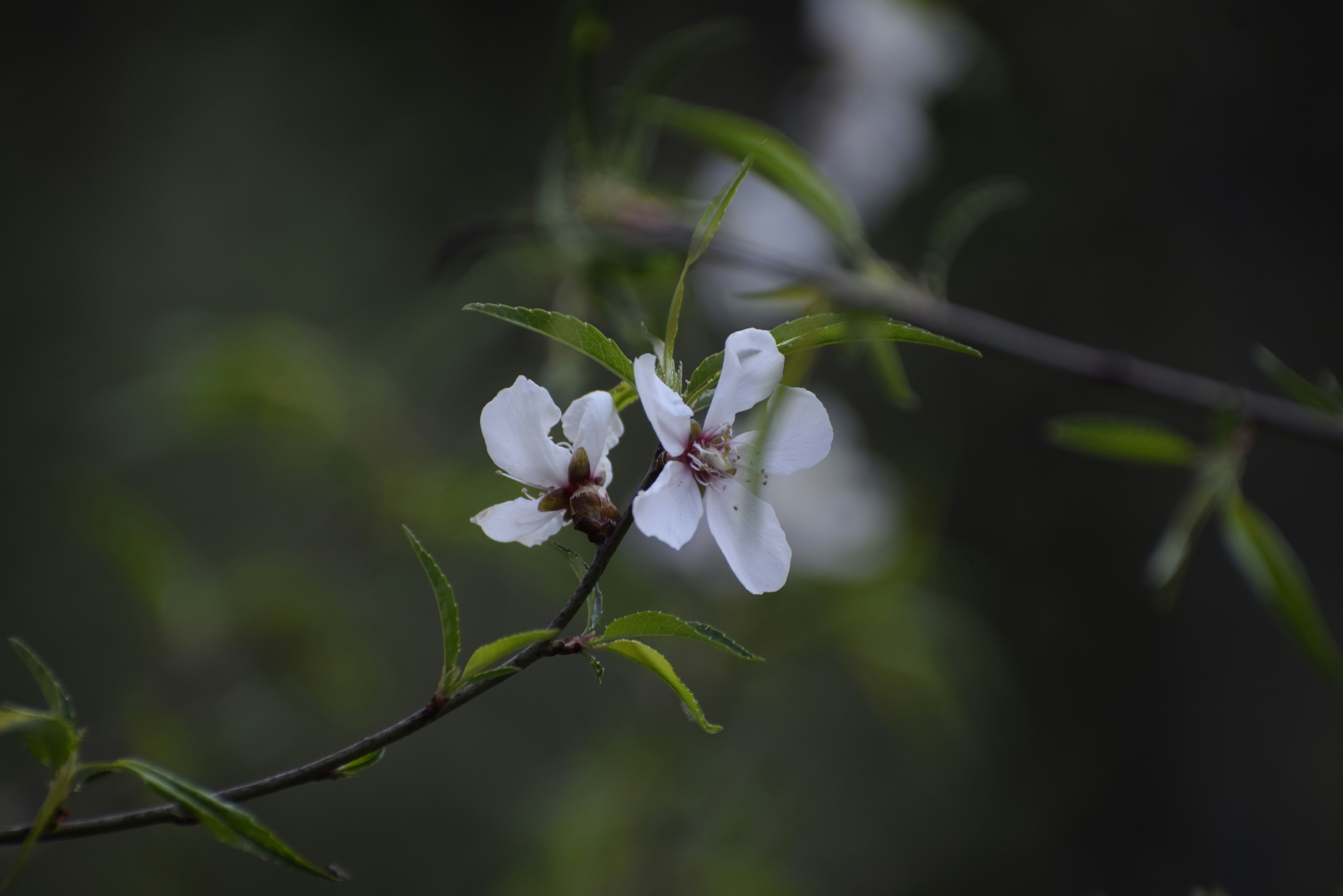 Photo by quiet_wandrer