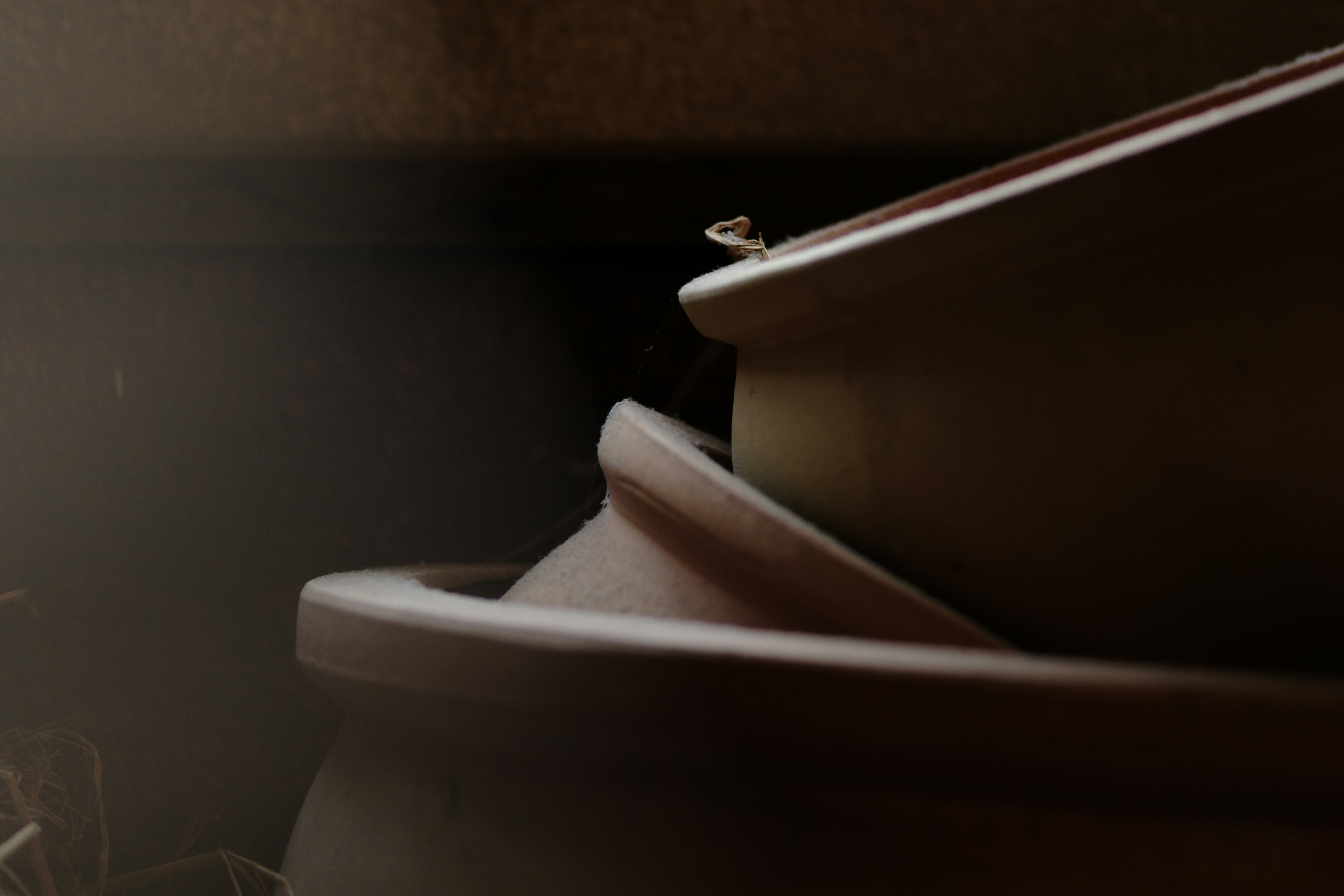 Photo by phuocsangvn