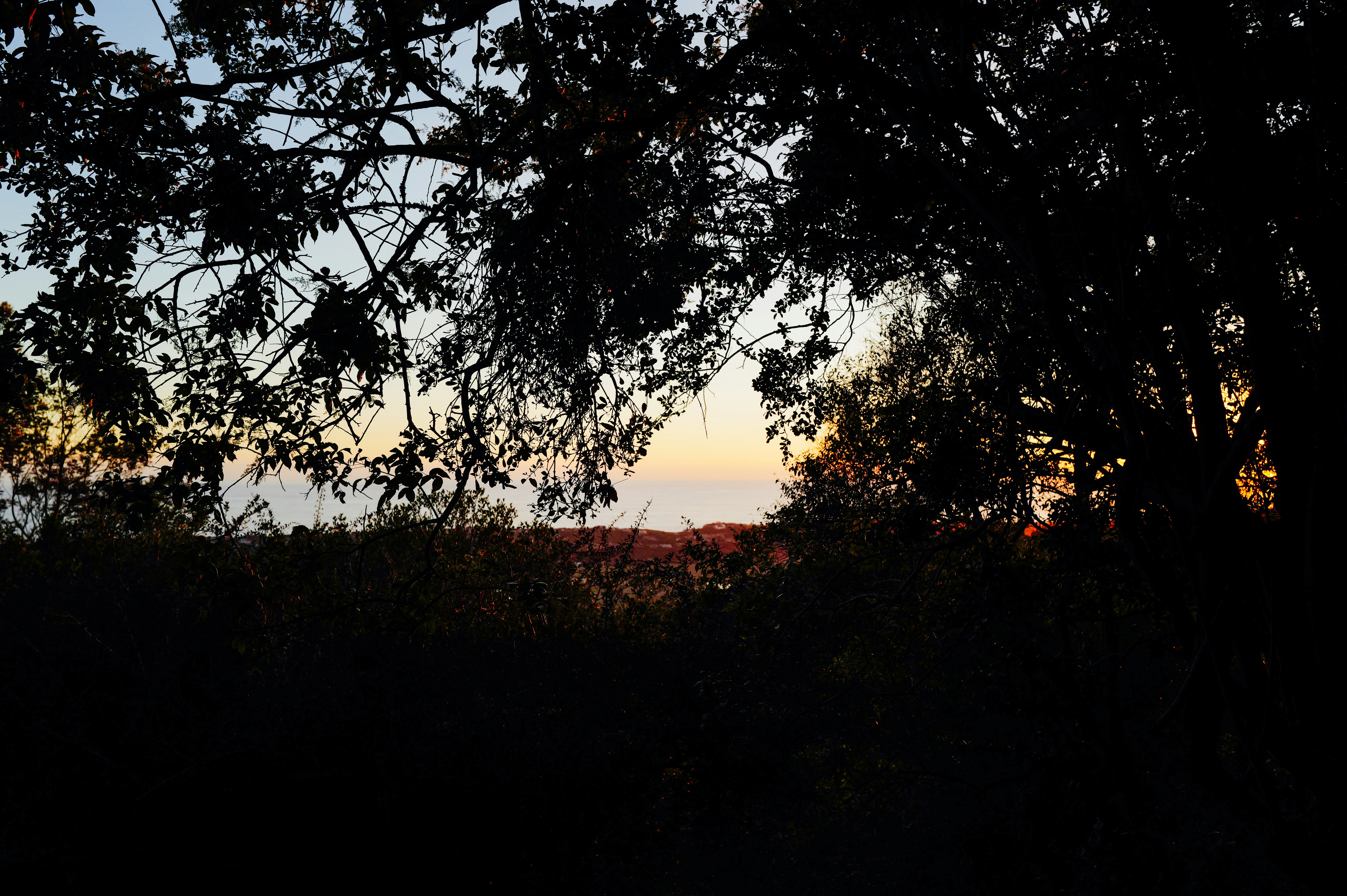 Photo by adrienolichon