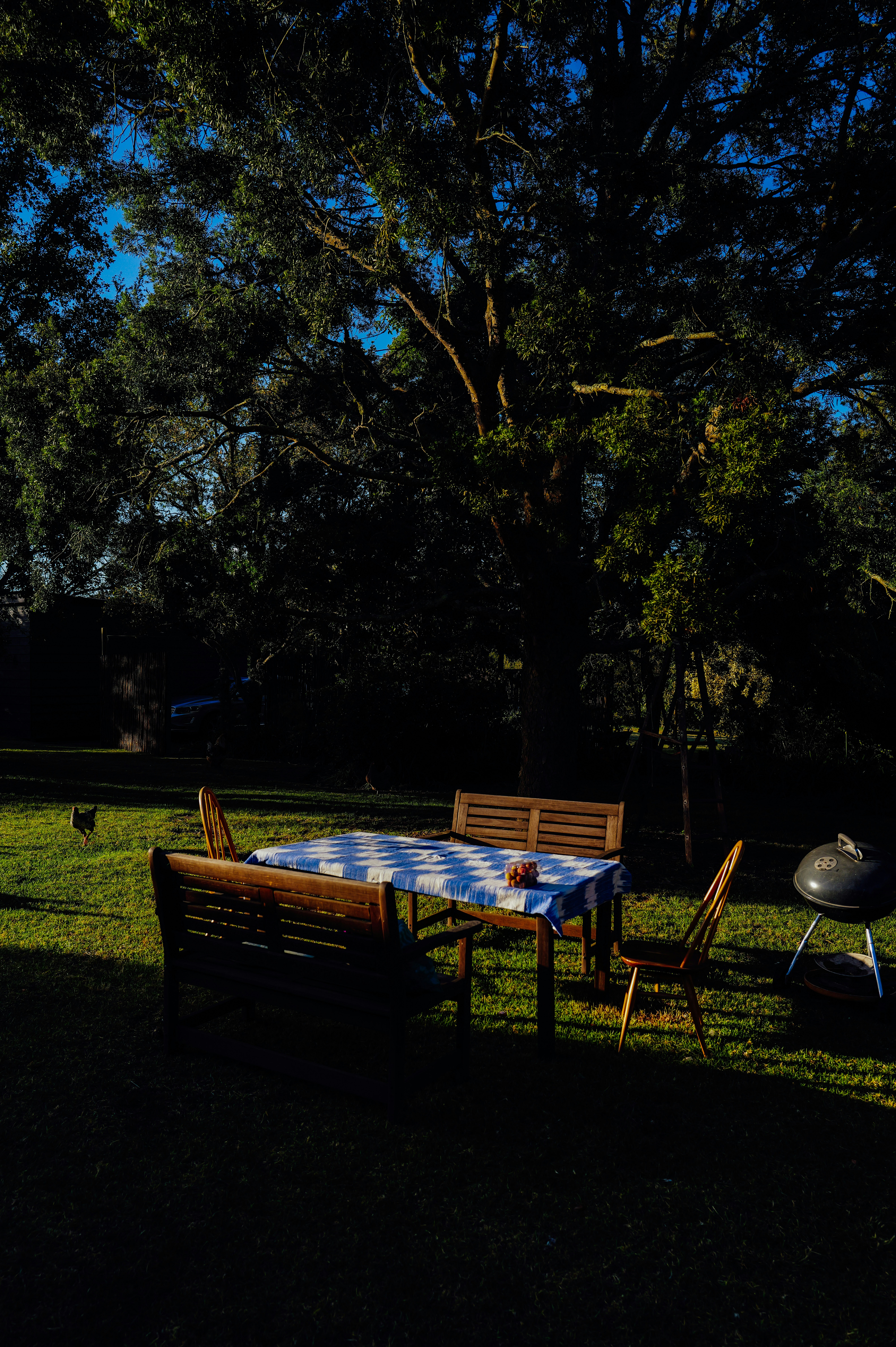 backyard dining