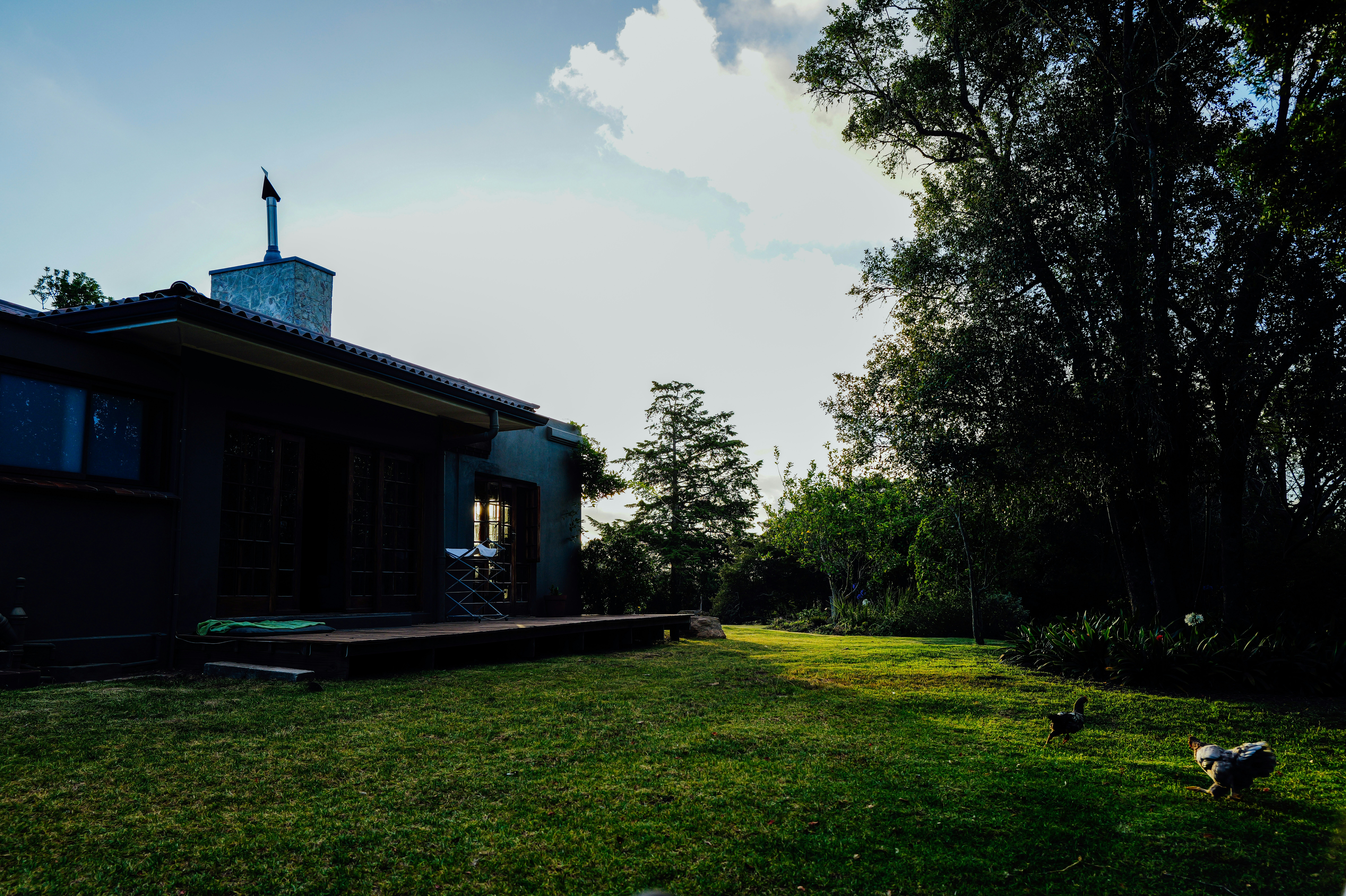 Step-By-Step Instructions for Applying Scotts Turf Builder Halts Crabgrass Preventer - lawn care tips lawn care