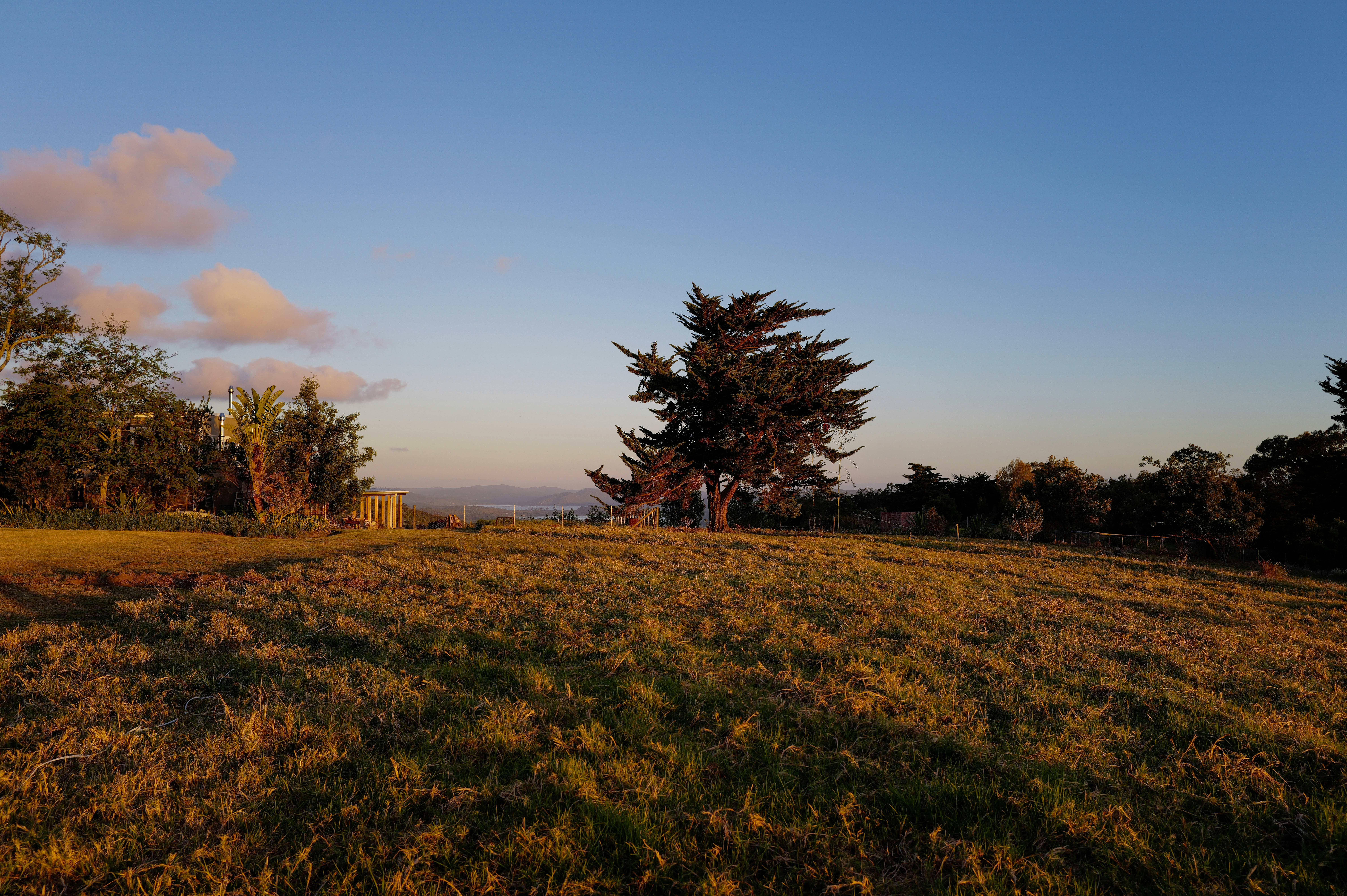 Photo by adrienolichon