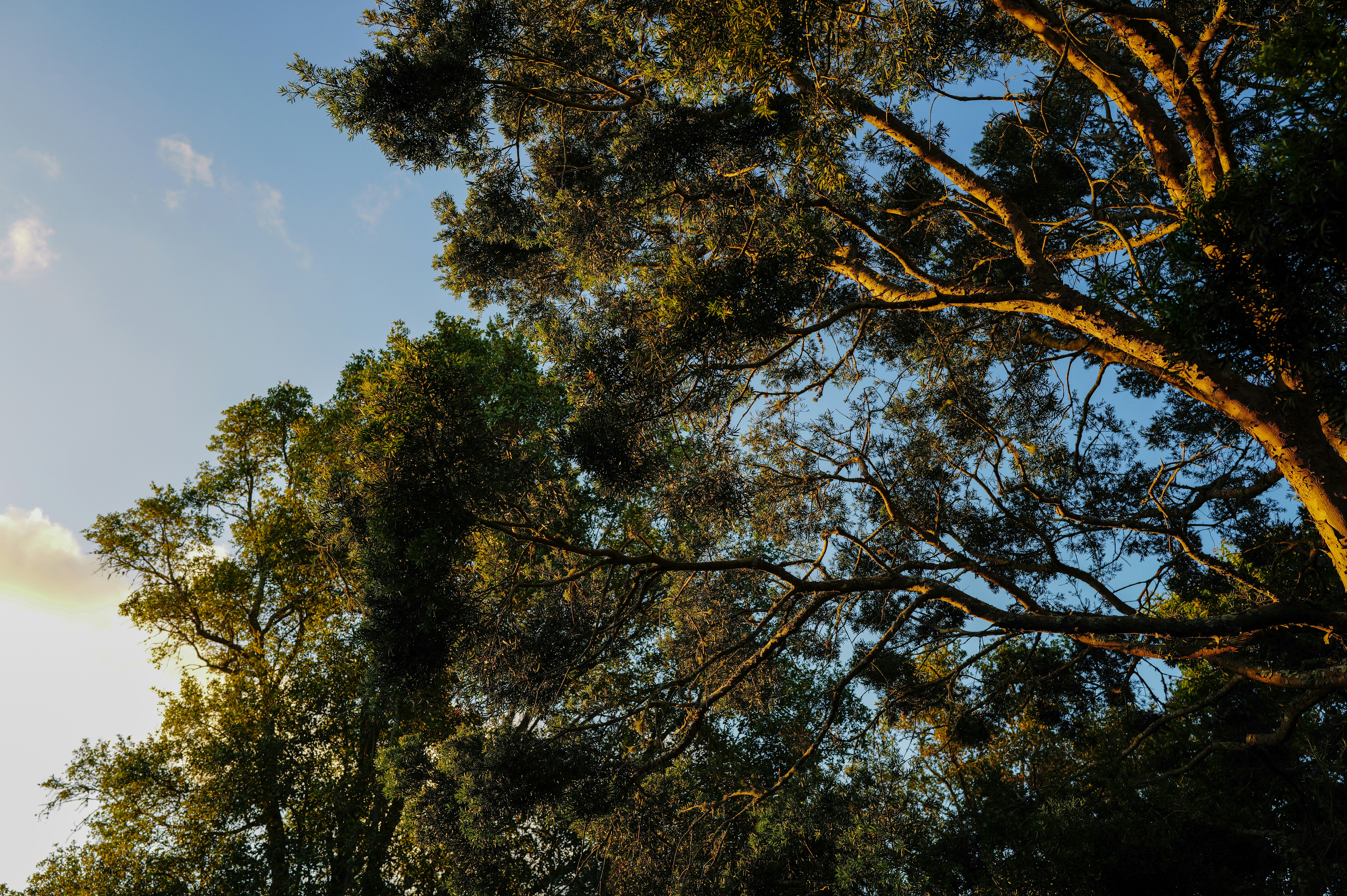 Photo by adrienolichon