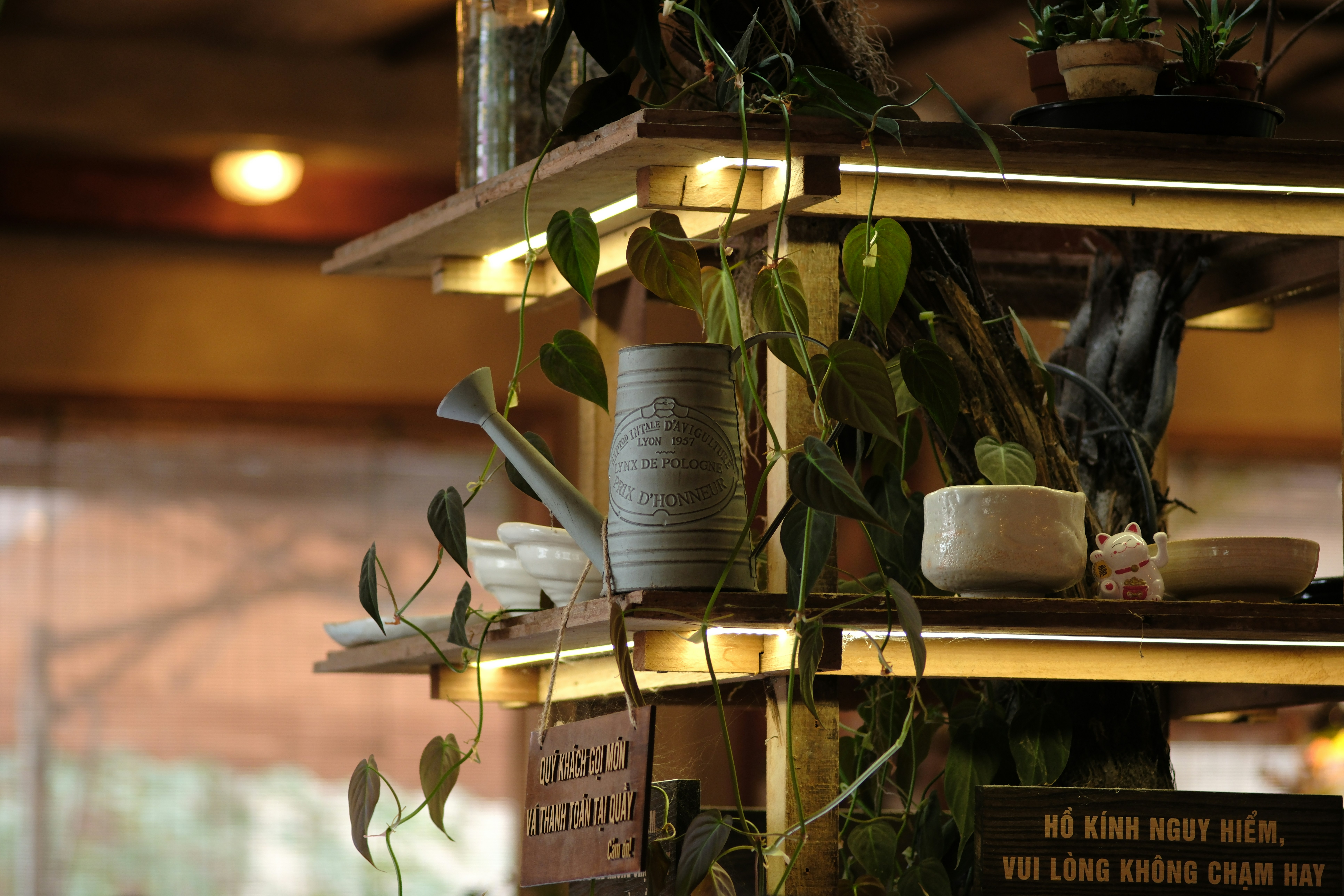 Shelving unit with plants and watering can