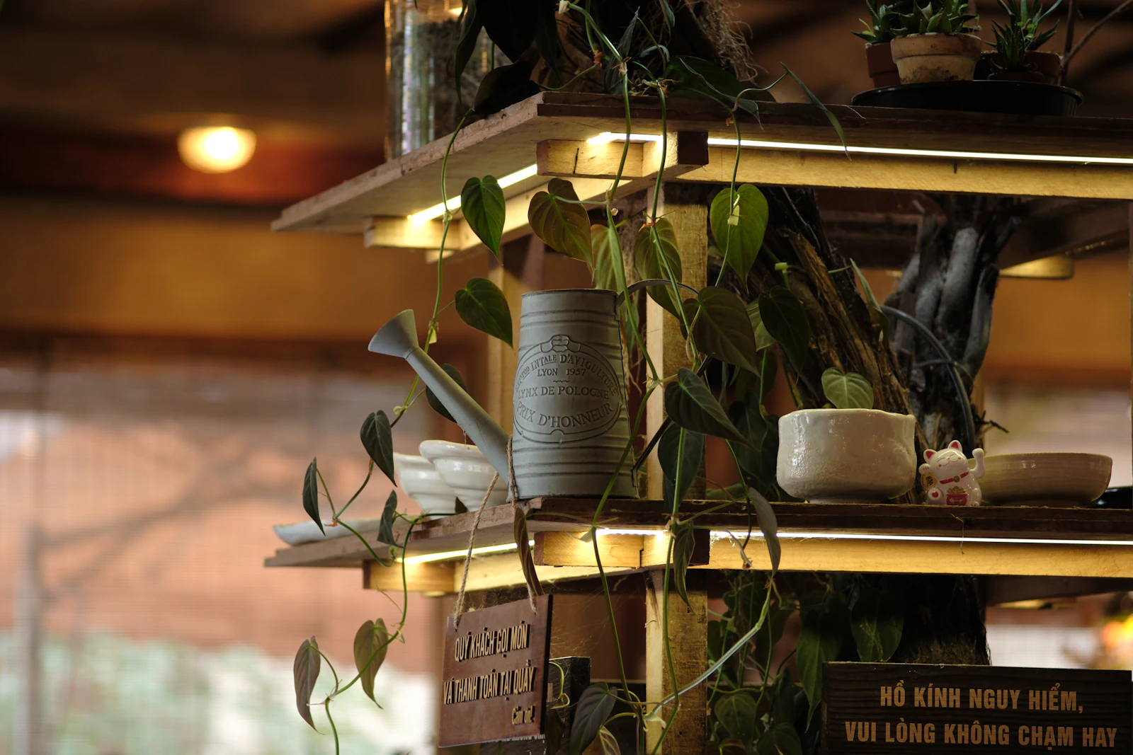 A shelving unit holding potted houseplants with a watering can — the kind of setup you prep before a two-week trip