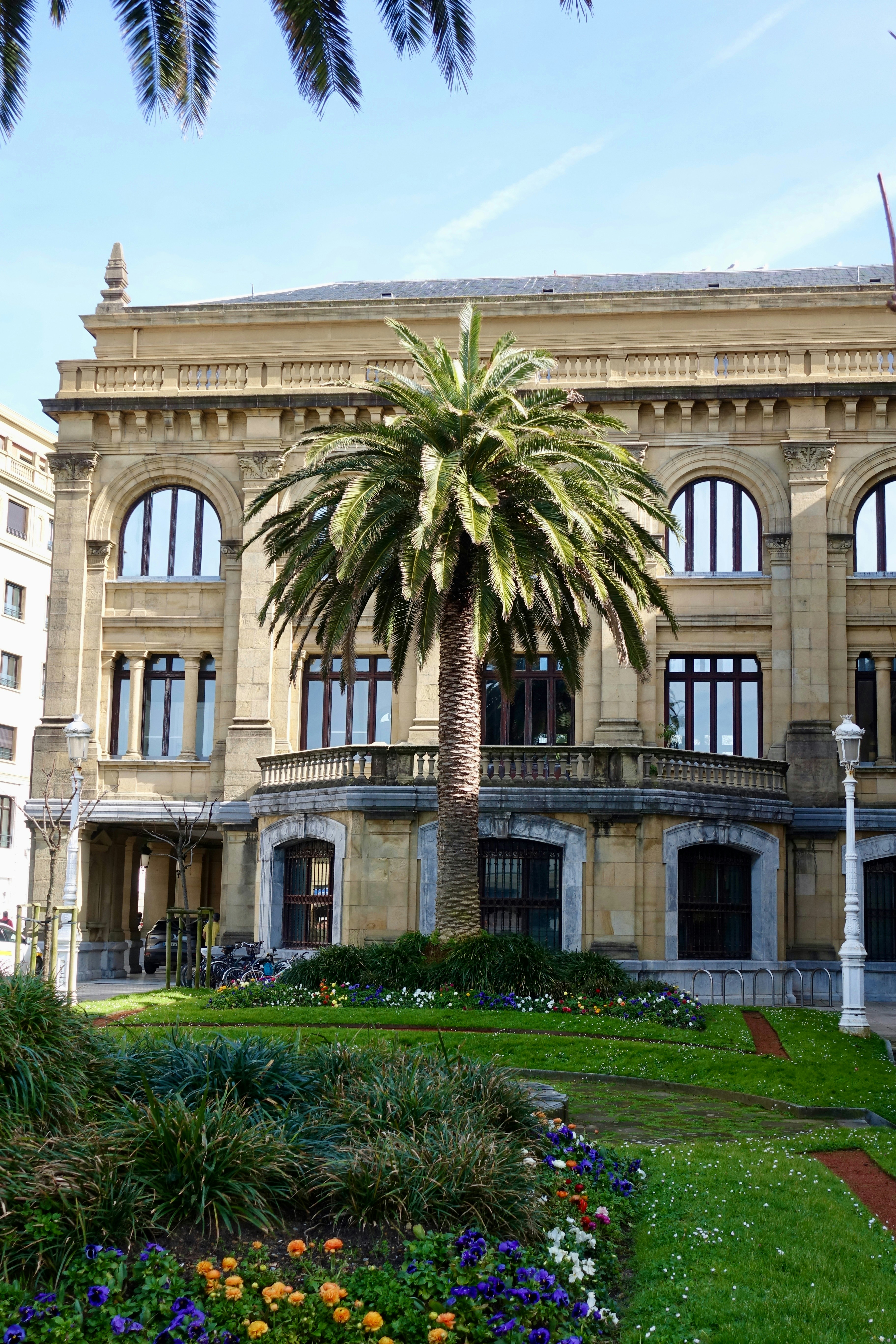 Large palm tree in front of an ornate building