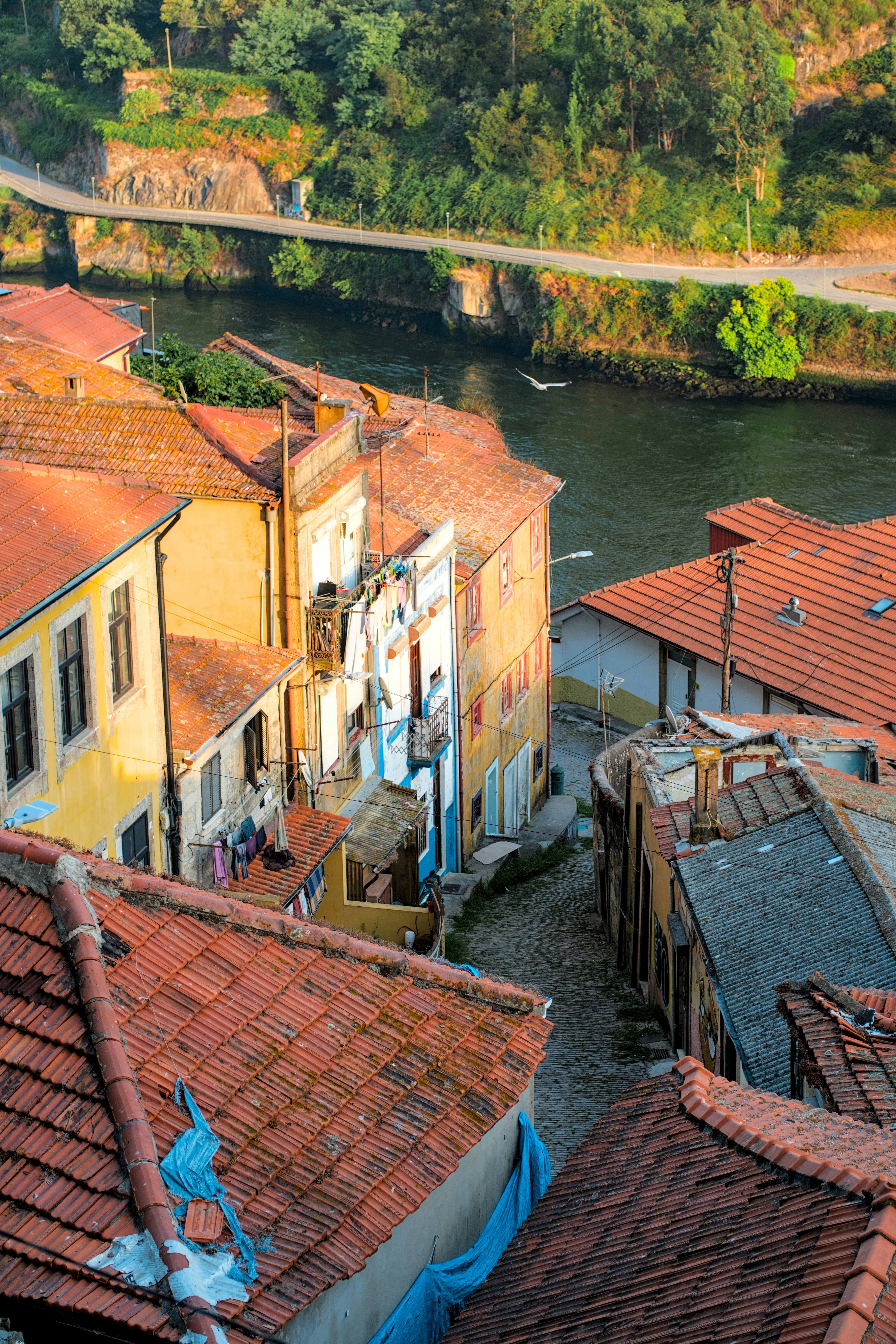 Rooftops and a narrow street overlook a river.
