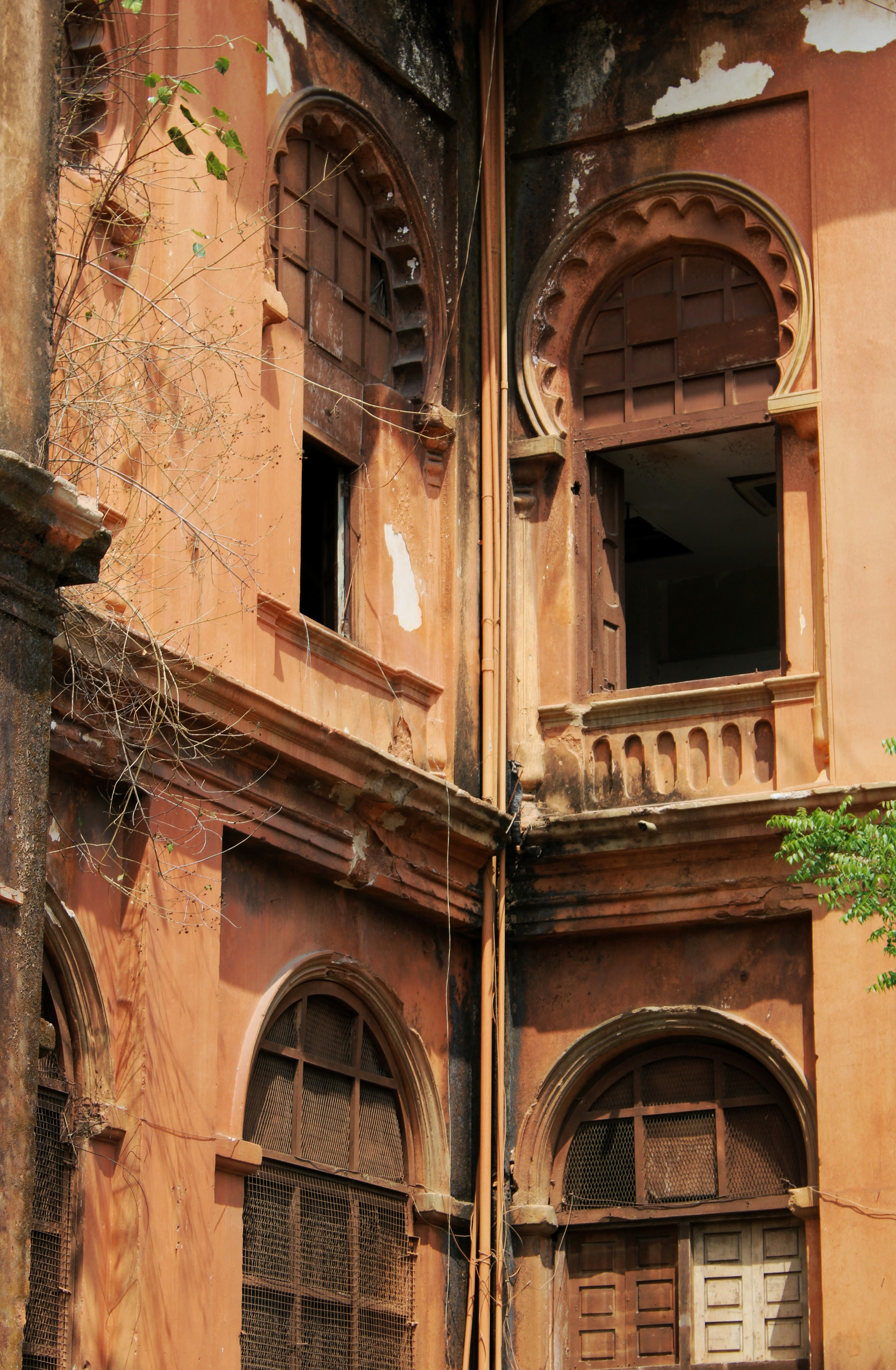 Photo by ebenezer_ebe