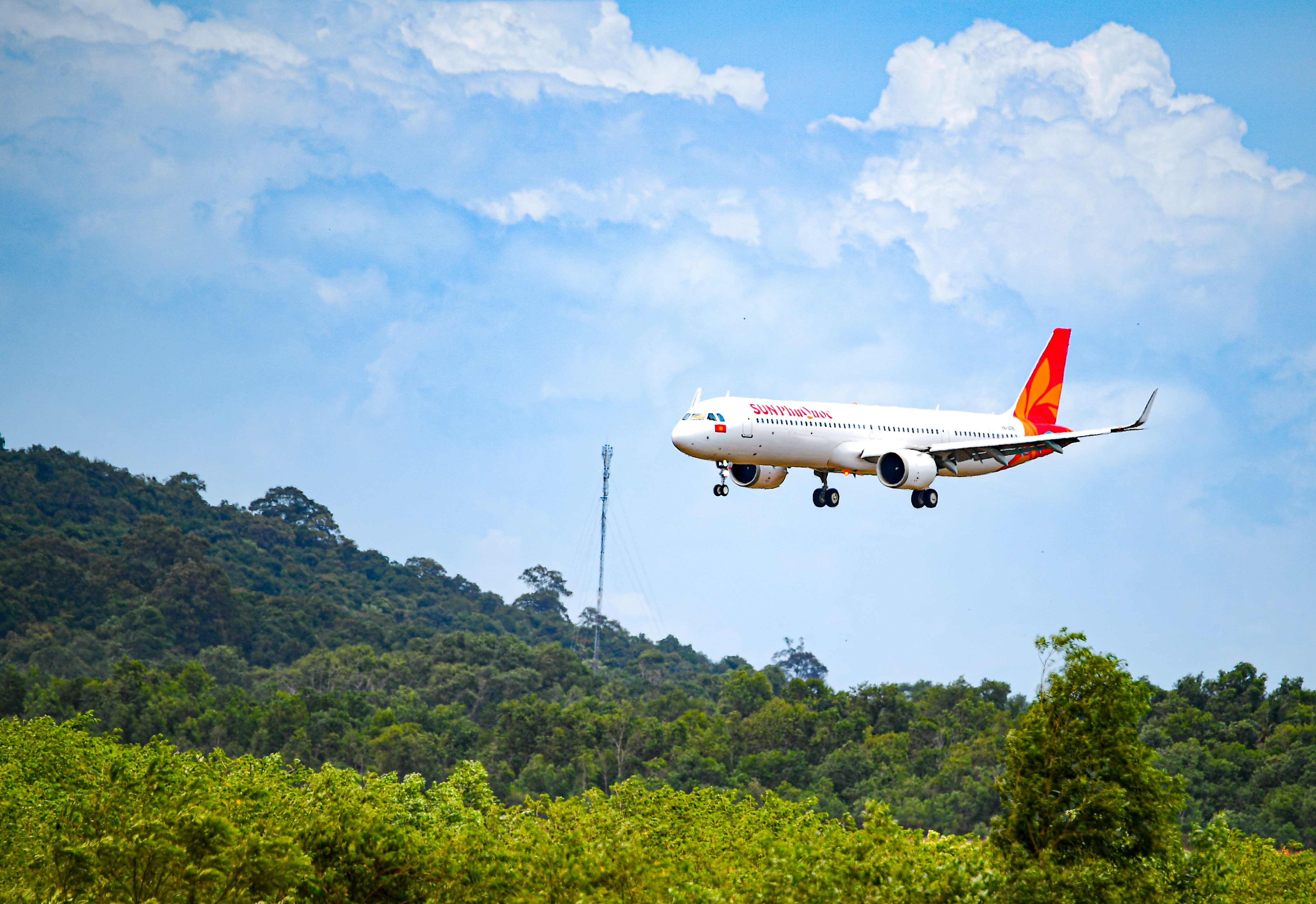 曇り空の下、青々とした木々の上を飛行機が飛ぶ。
