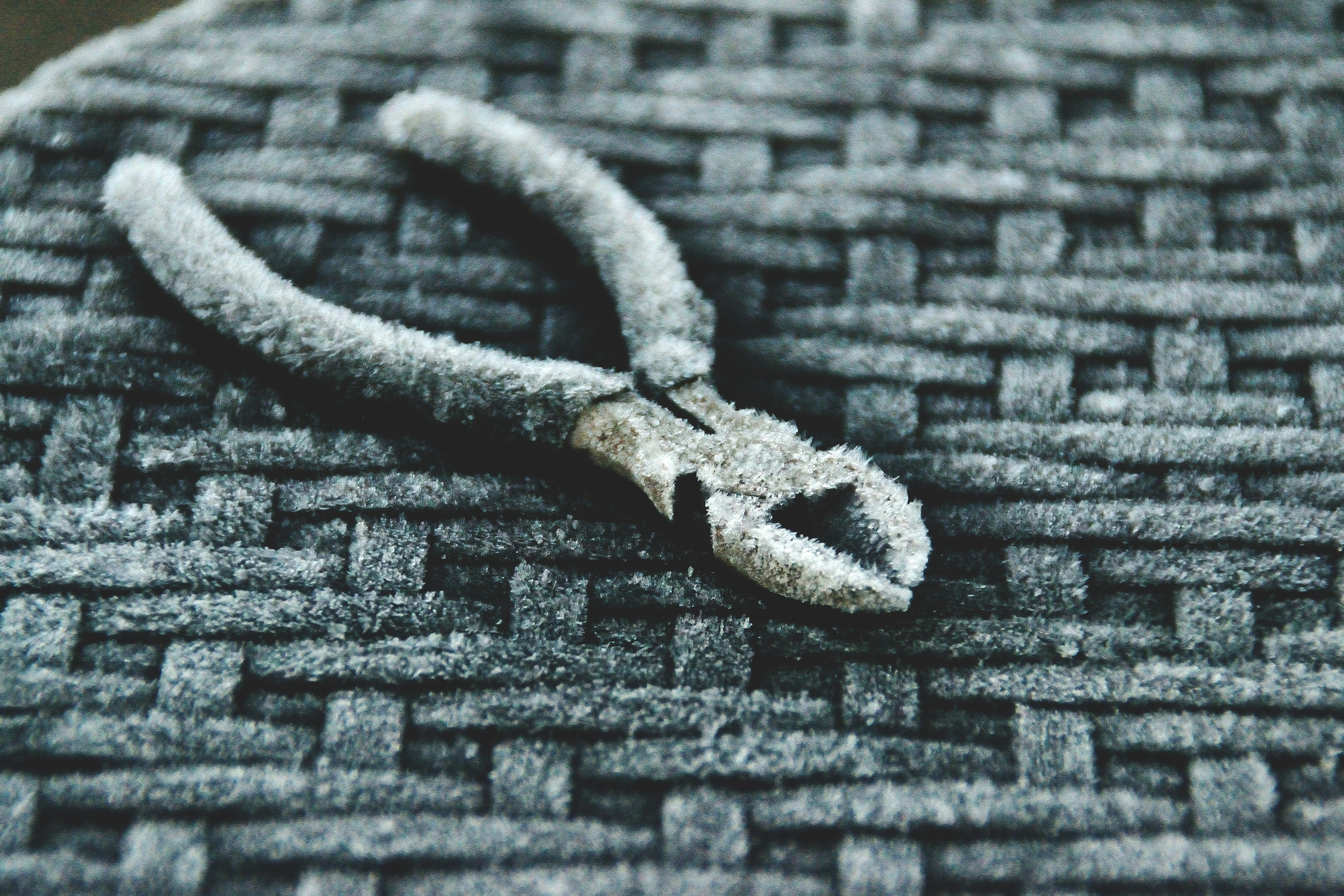 carpet repair professional