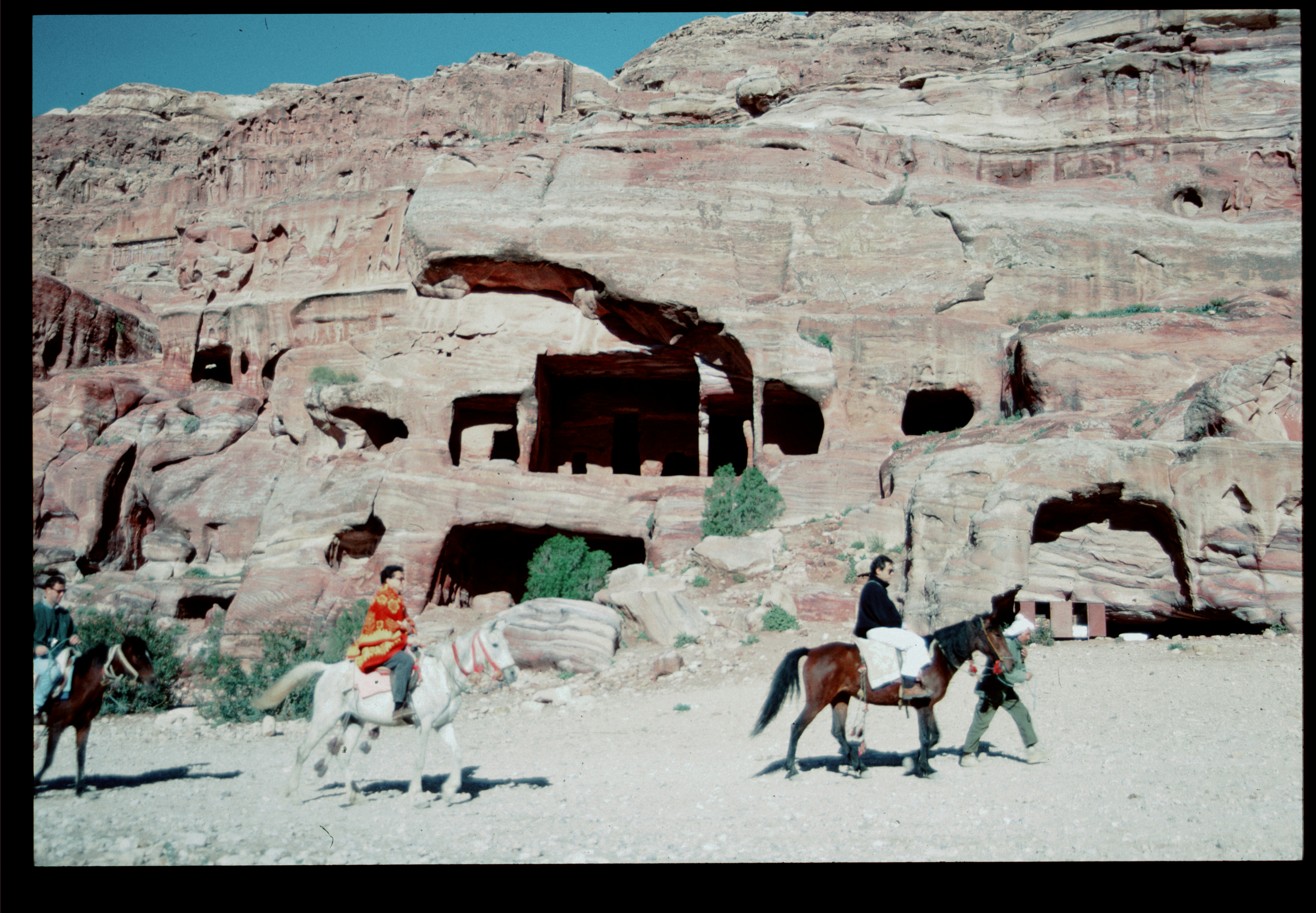 Horse Gulch Open Space