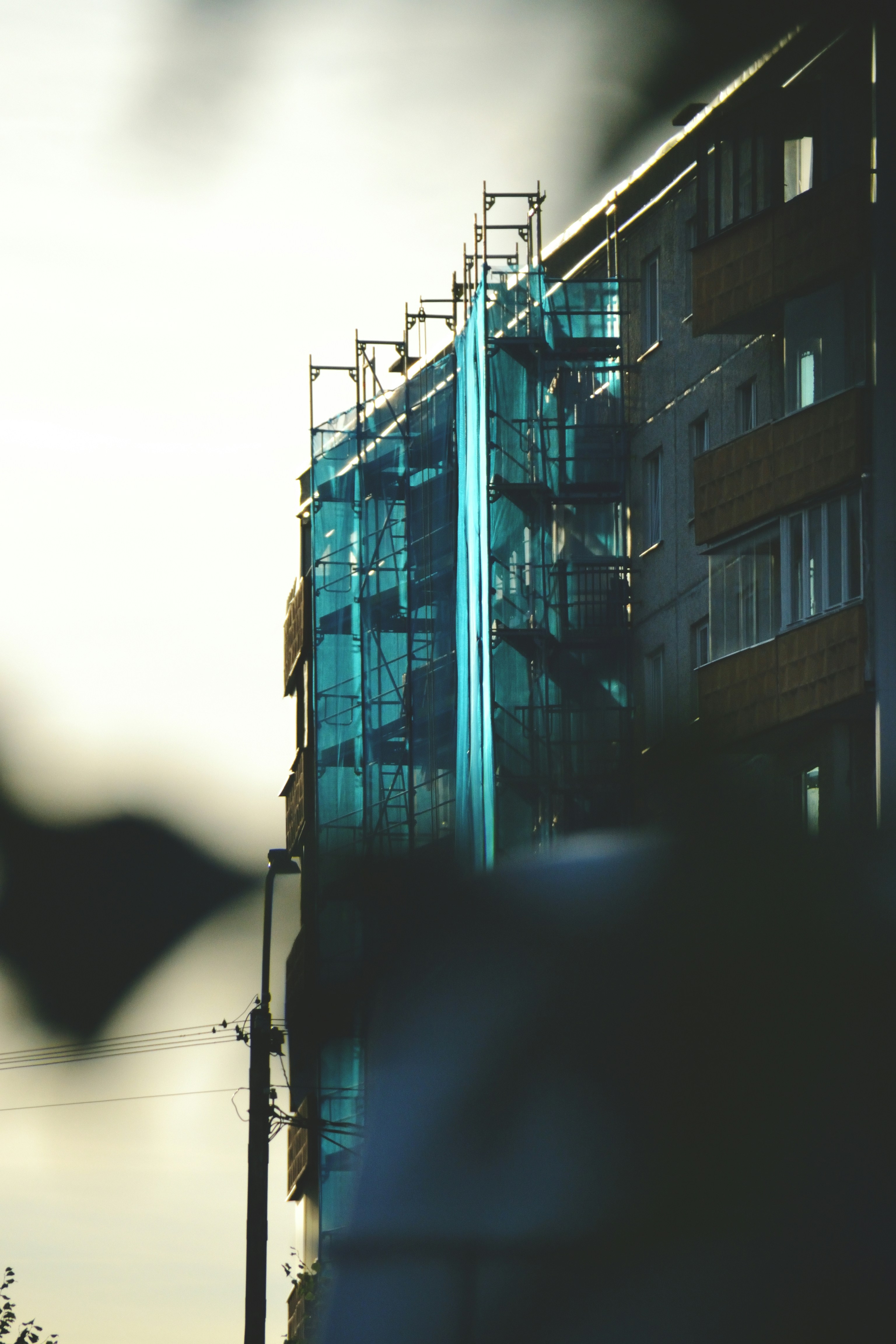 Photo by psilocybe53