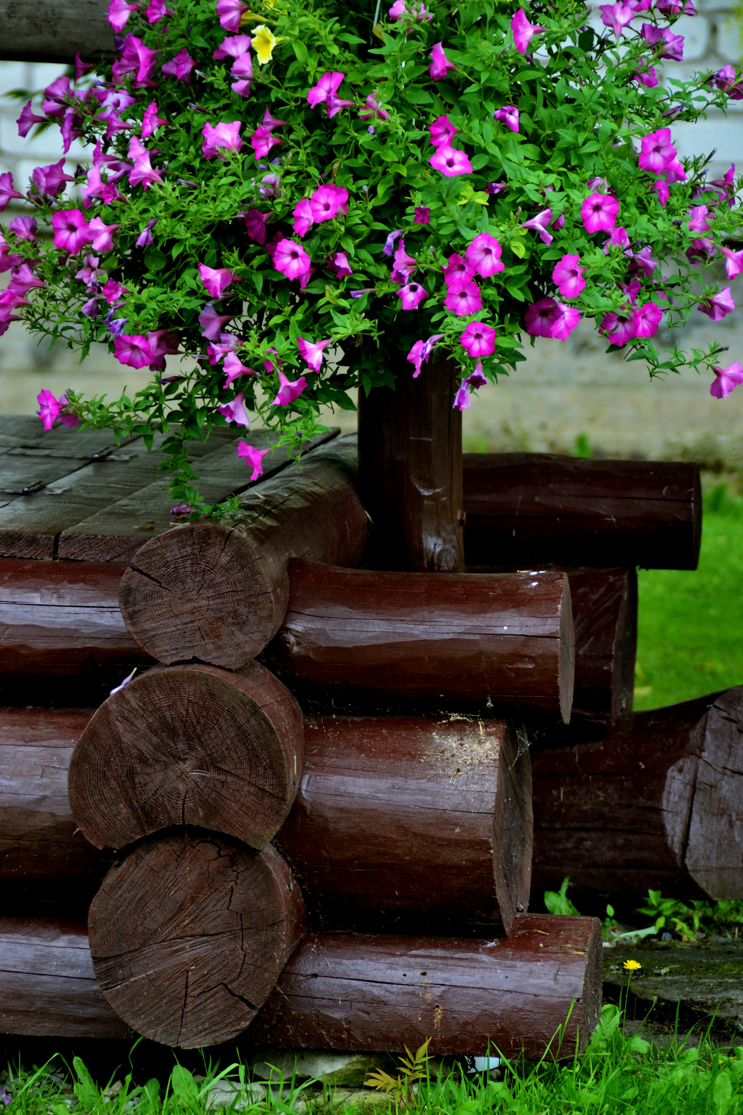 Rustic Chic Garden Decor