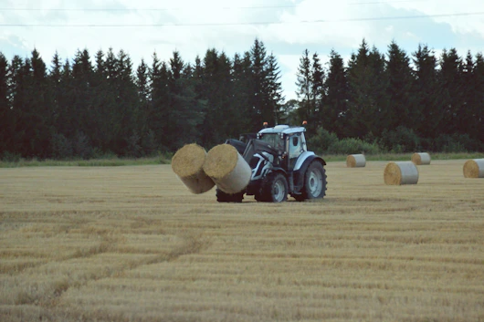 Tractor loading hay bales in a harvested field.